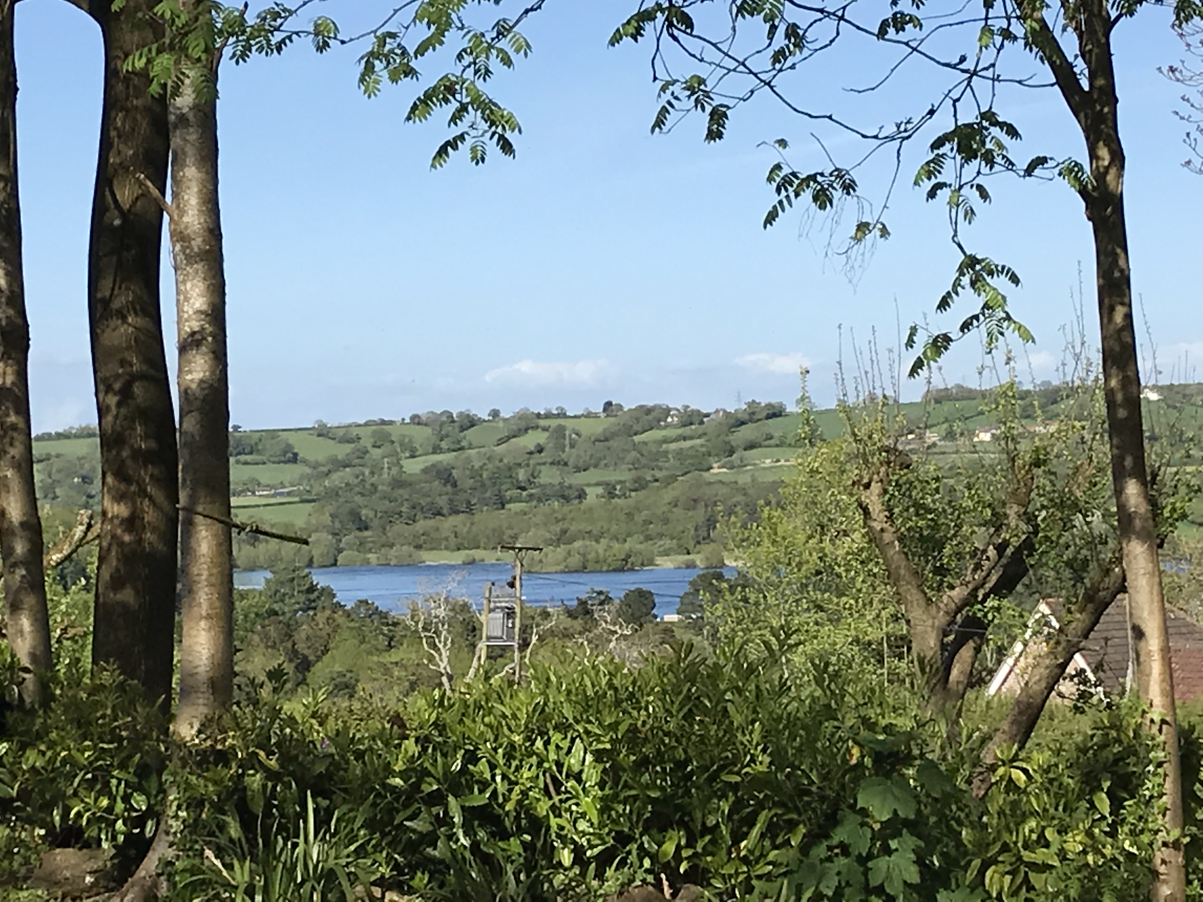 Coombe Lodge Farm House B&B