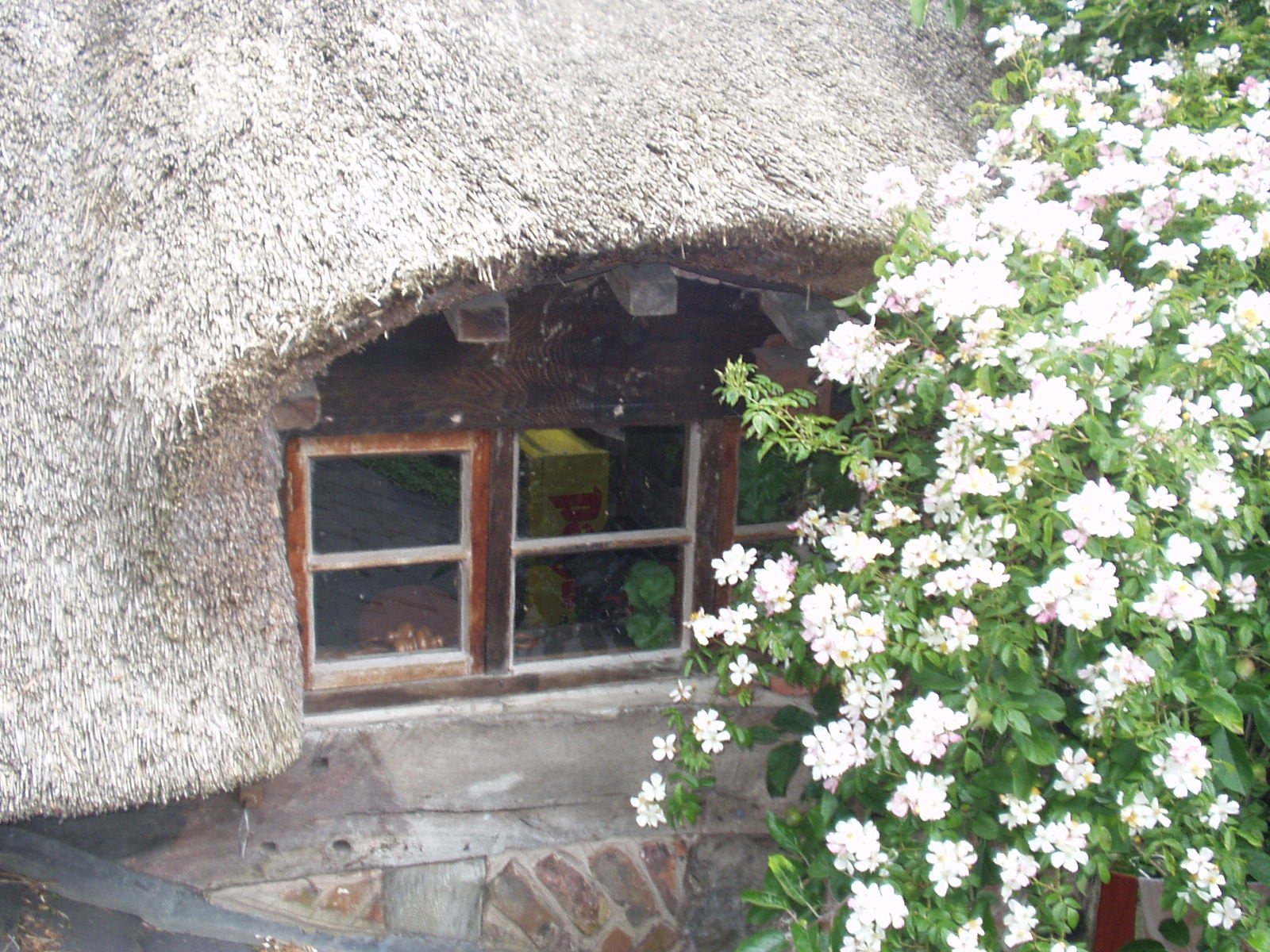 Wizards Thatch
