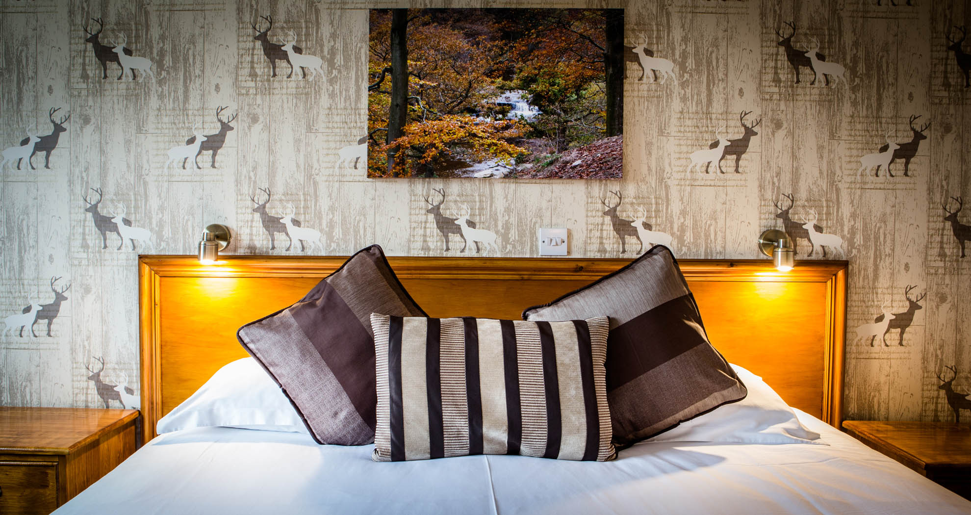 Orchard Lodge Wolds Restaurant & Accommodation