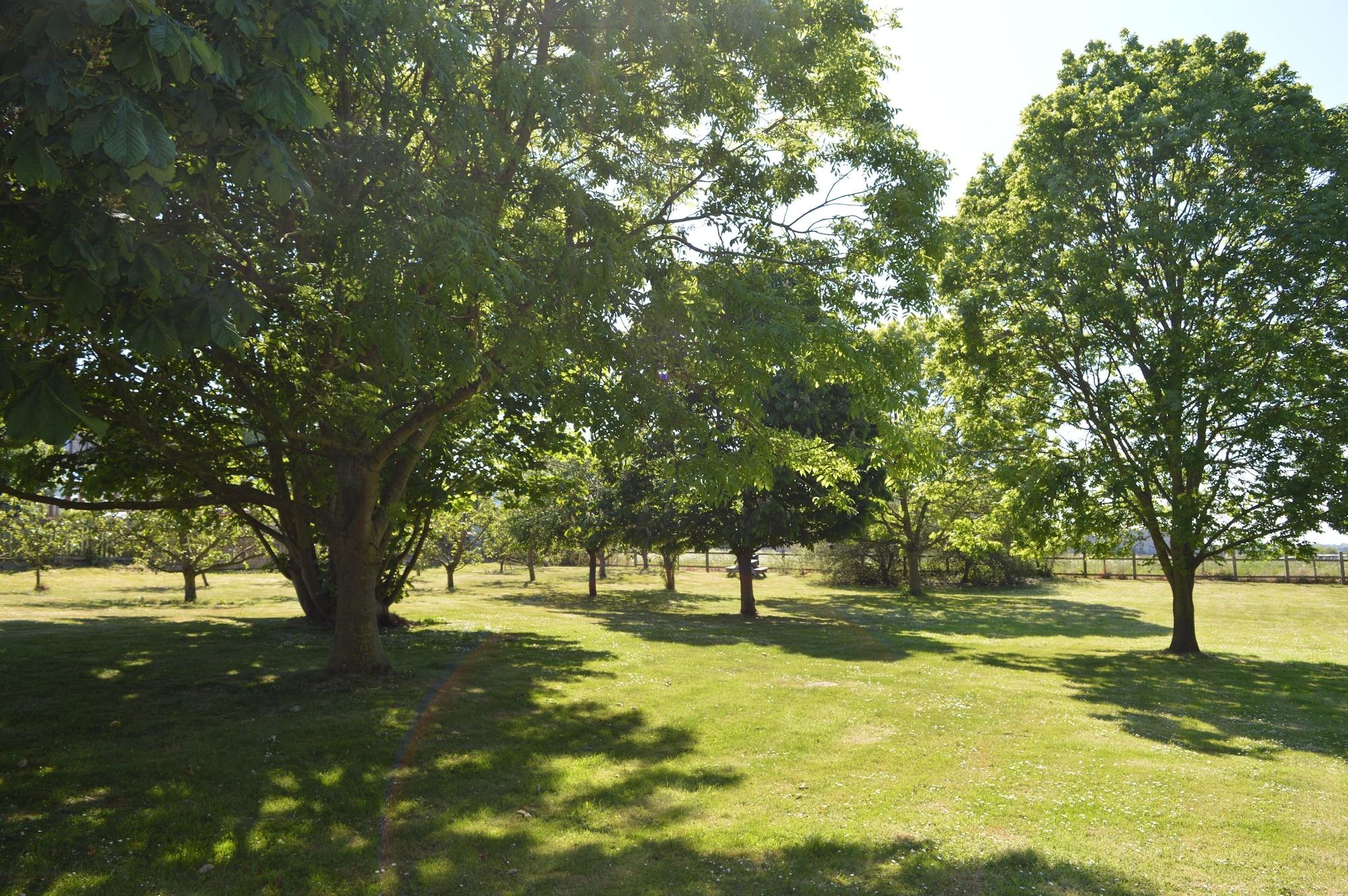 Orchard Lodge Wolds Restaurant & Accommodation 6