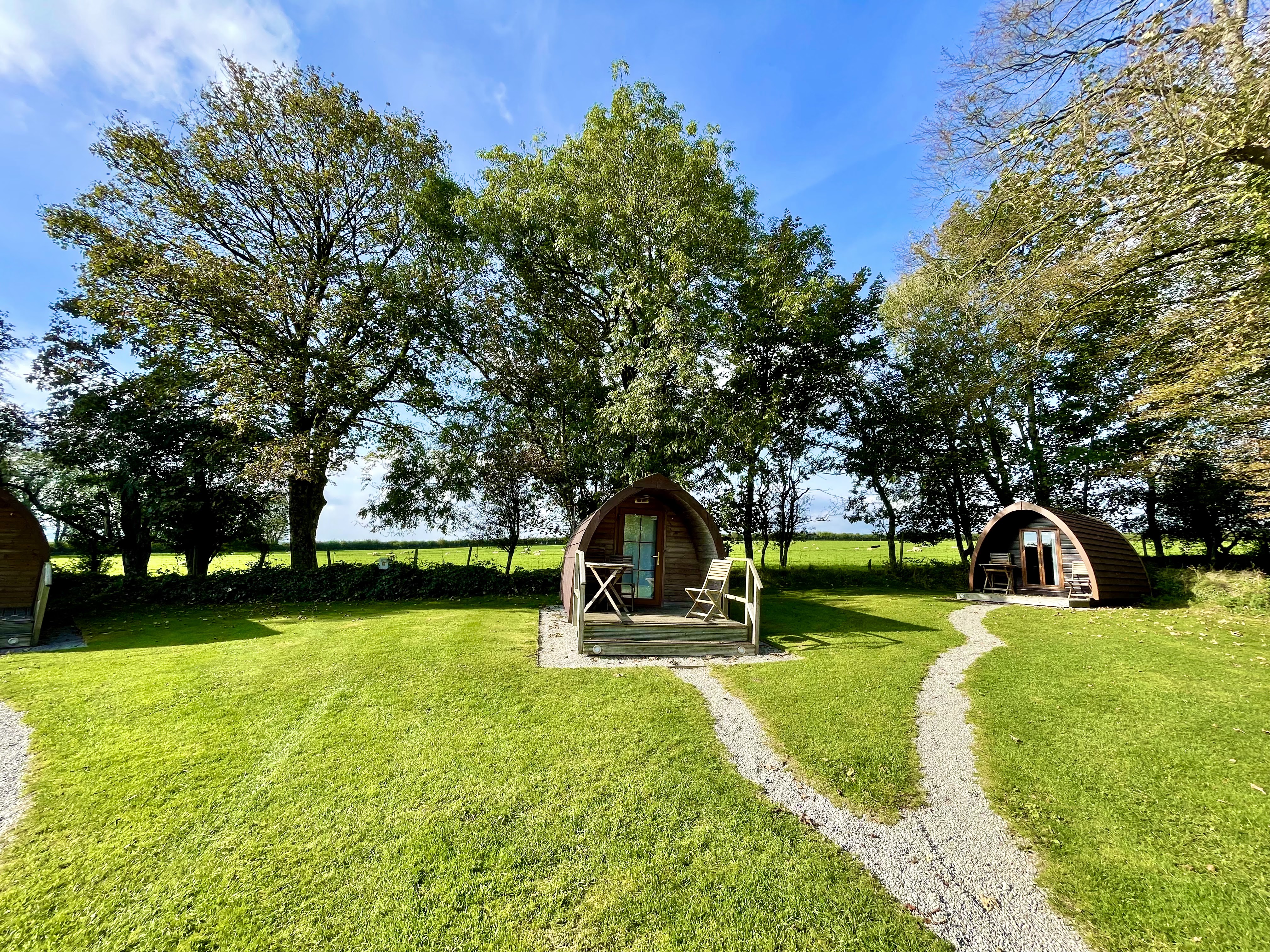 Woodovis Holiday Park & Glamping Pods 2