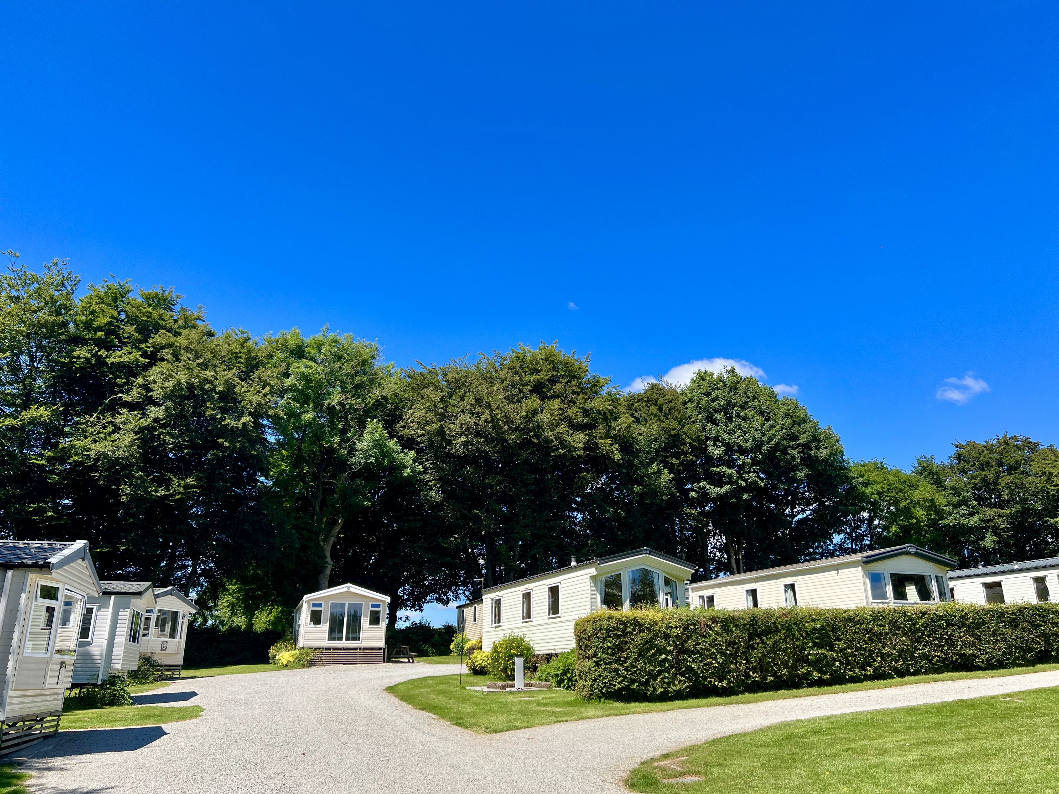 Woodovis Holiday Park & Glamping Pods 8