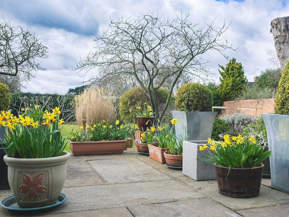 Somerville House 8