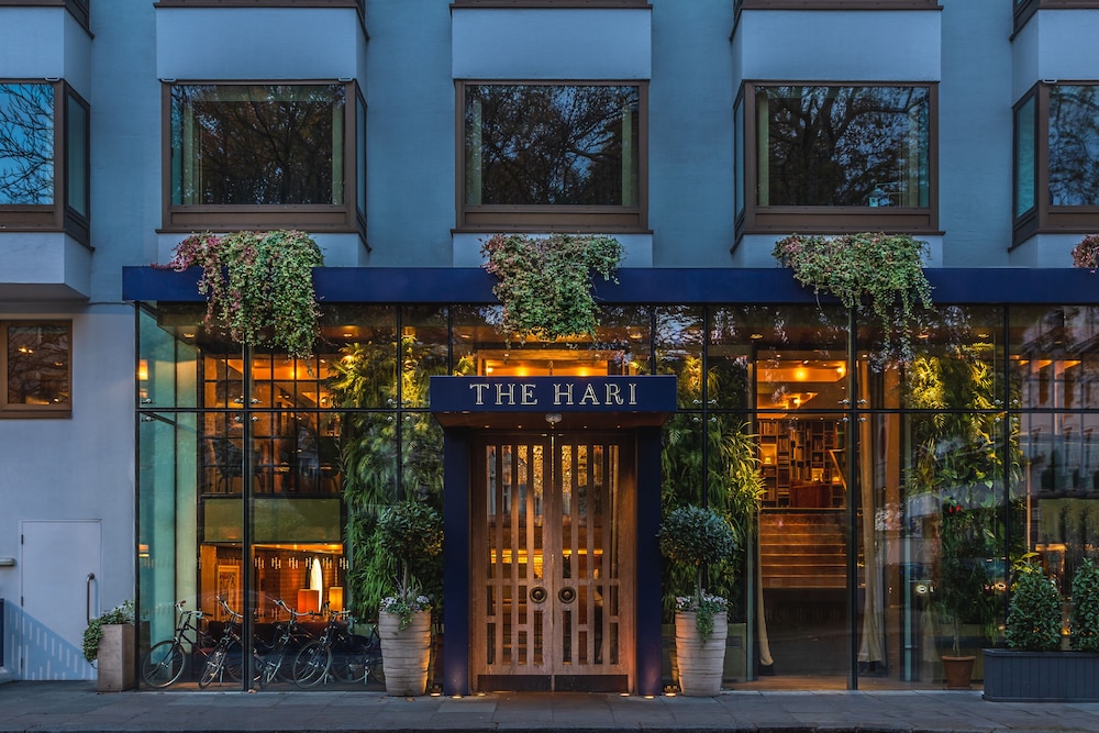 The Hari 3