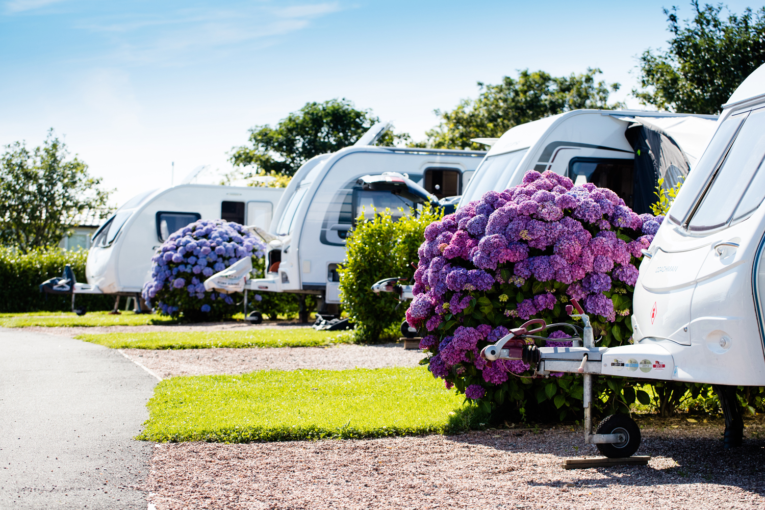 Wooda Farm Holiday Park 4