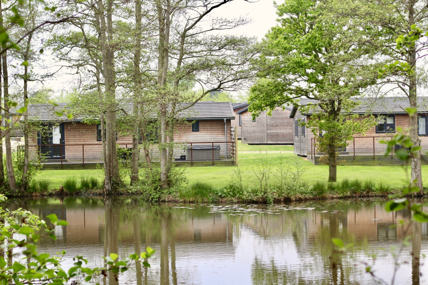 Warren Wood Country Park 6