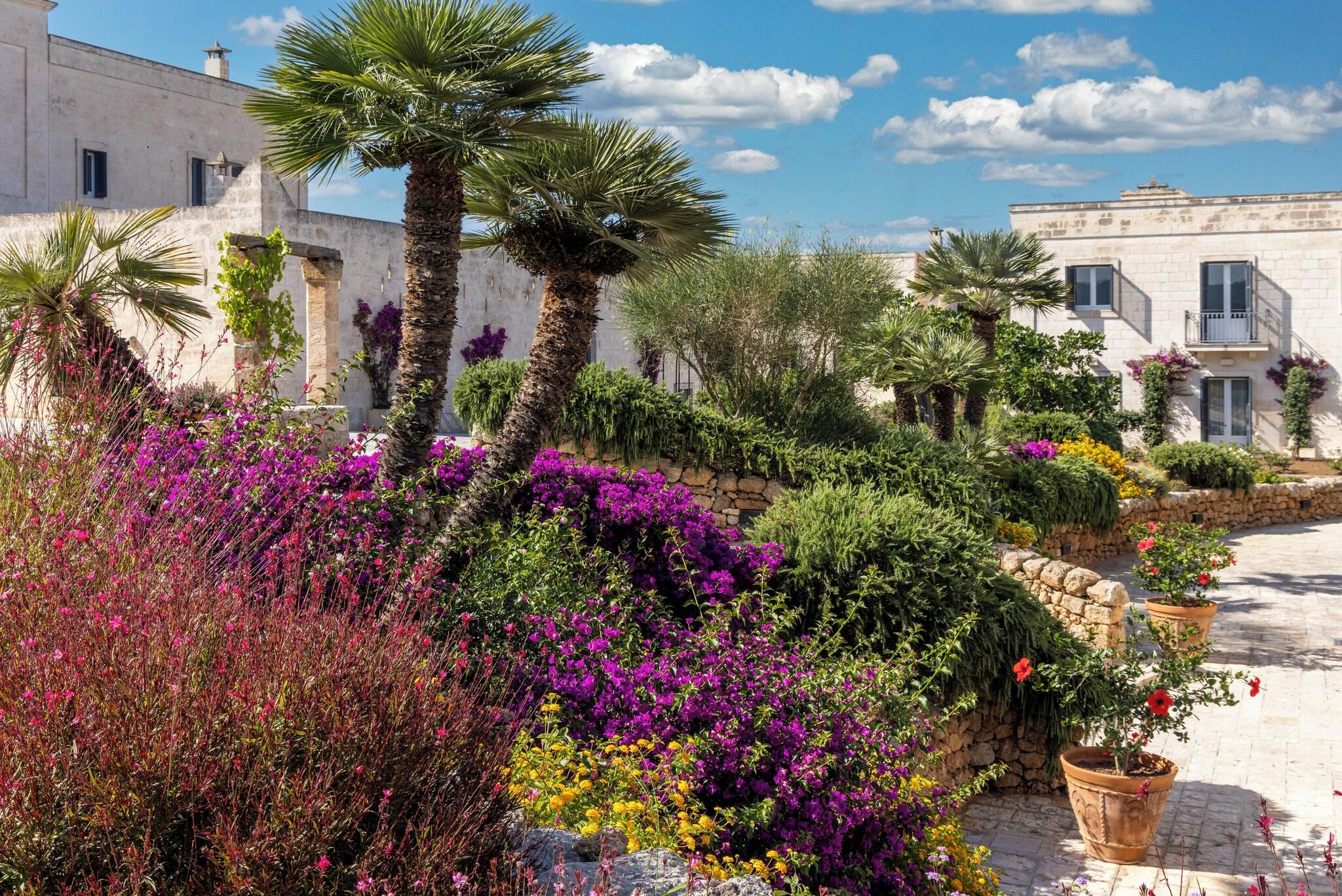 Hotel Masseria San Domenico 6