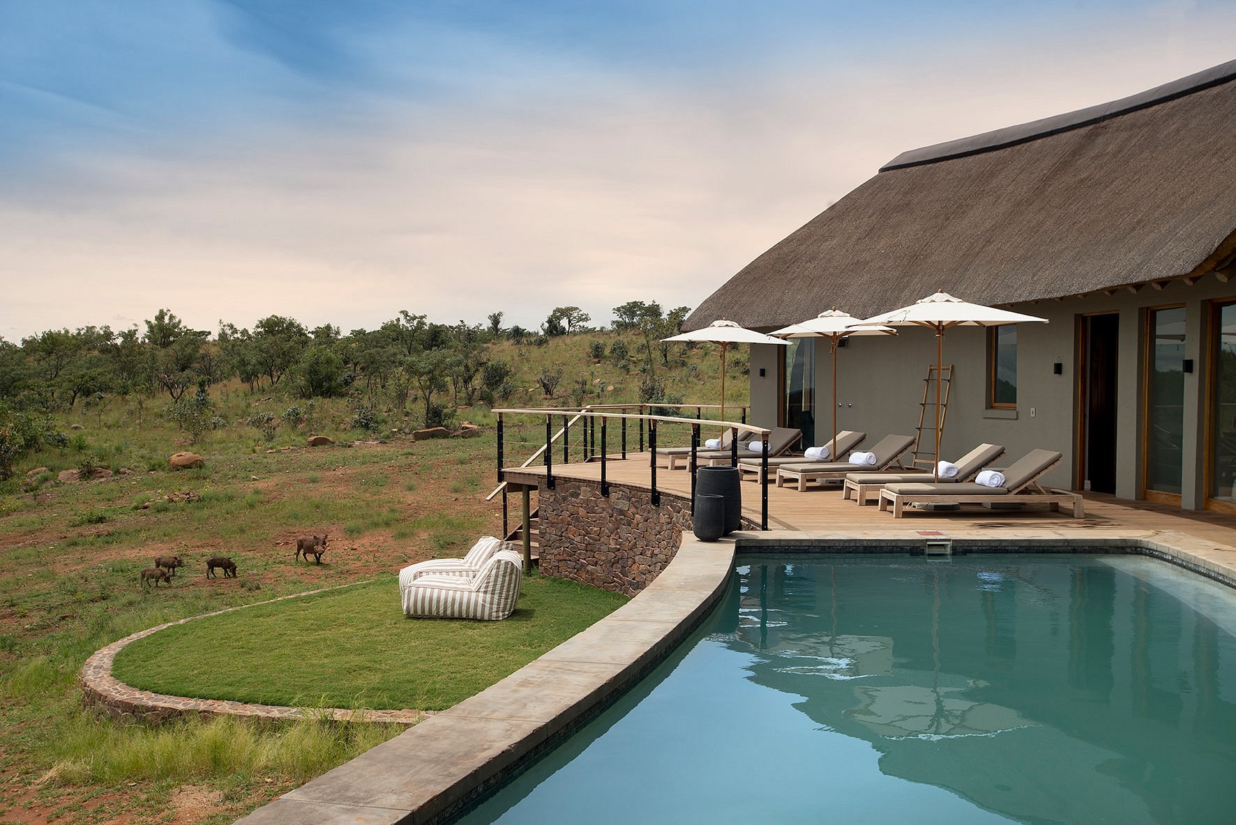 Mhondoro Safari Lodge & Villa