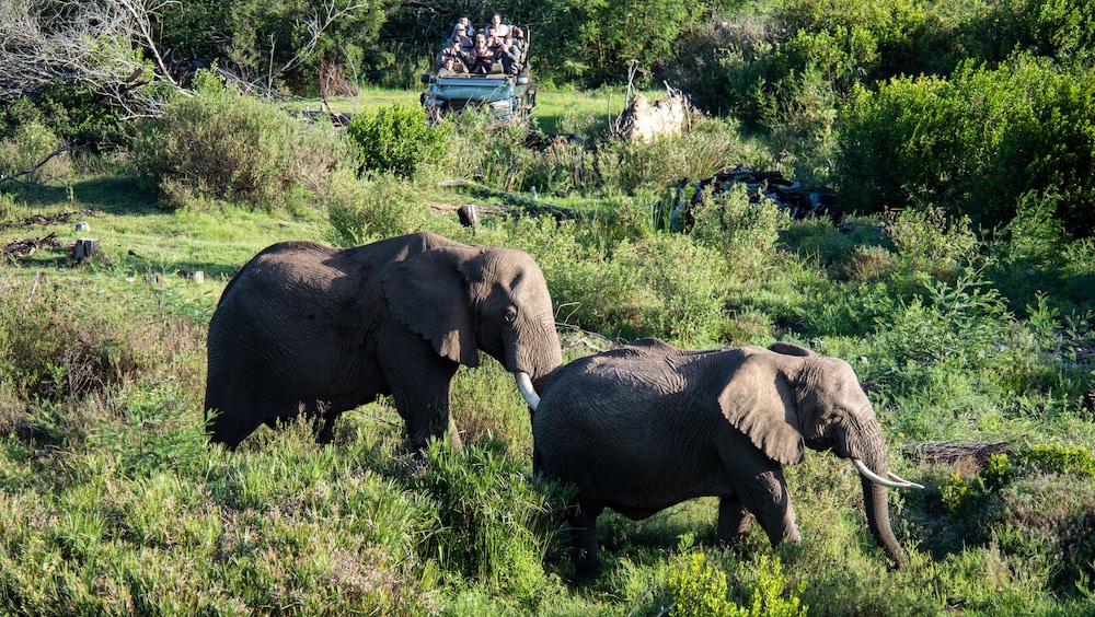 Gondwana Private Game Reserve 17