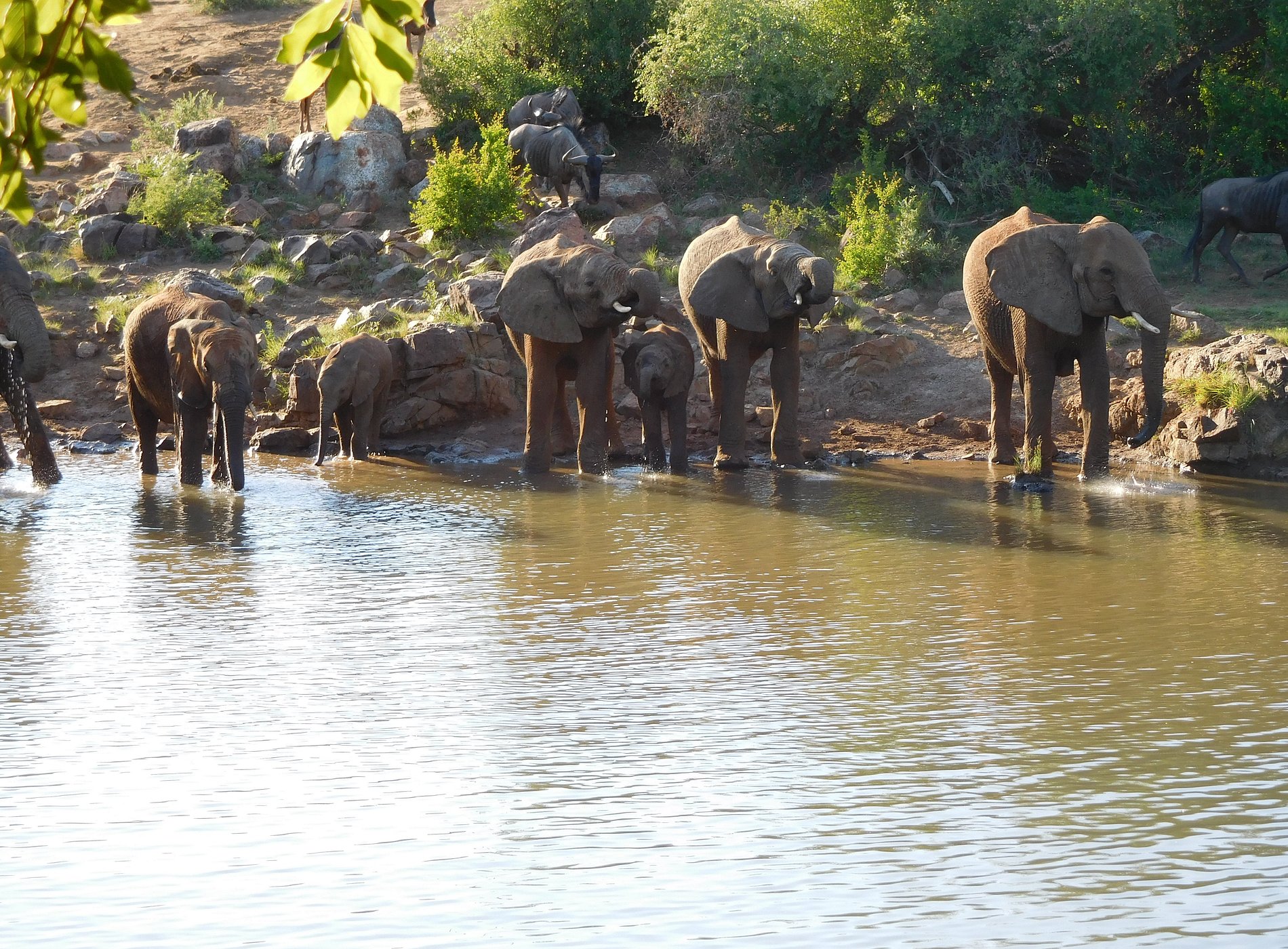 Mateya Safari Lodge 7