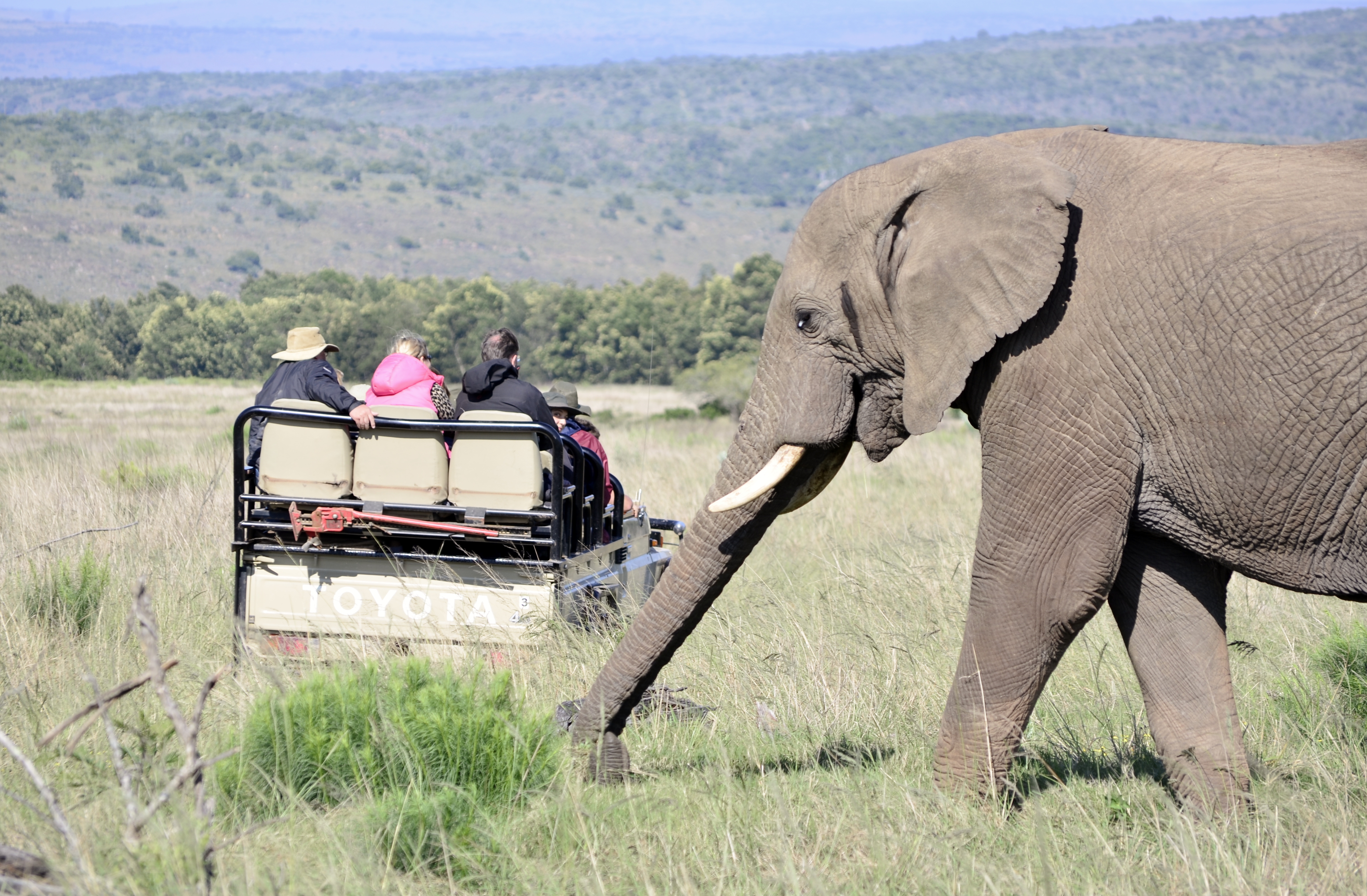 Kichaka Luxury Game Lodge - Lalibela Game Reserve 6