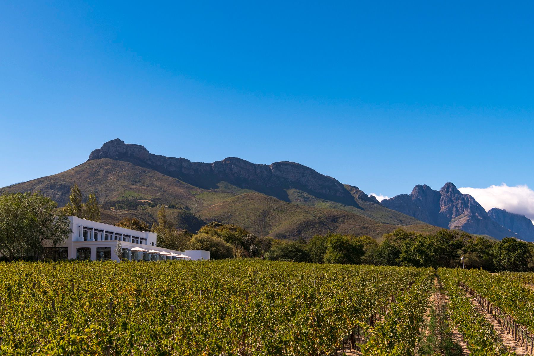 Lanzerac Wine Estate 9