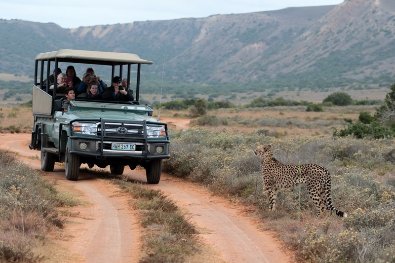 Bukela Game Lodge - Lion Roars Hotels and Lodges 4