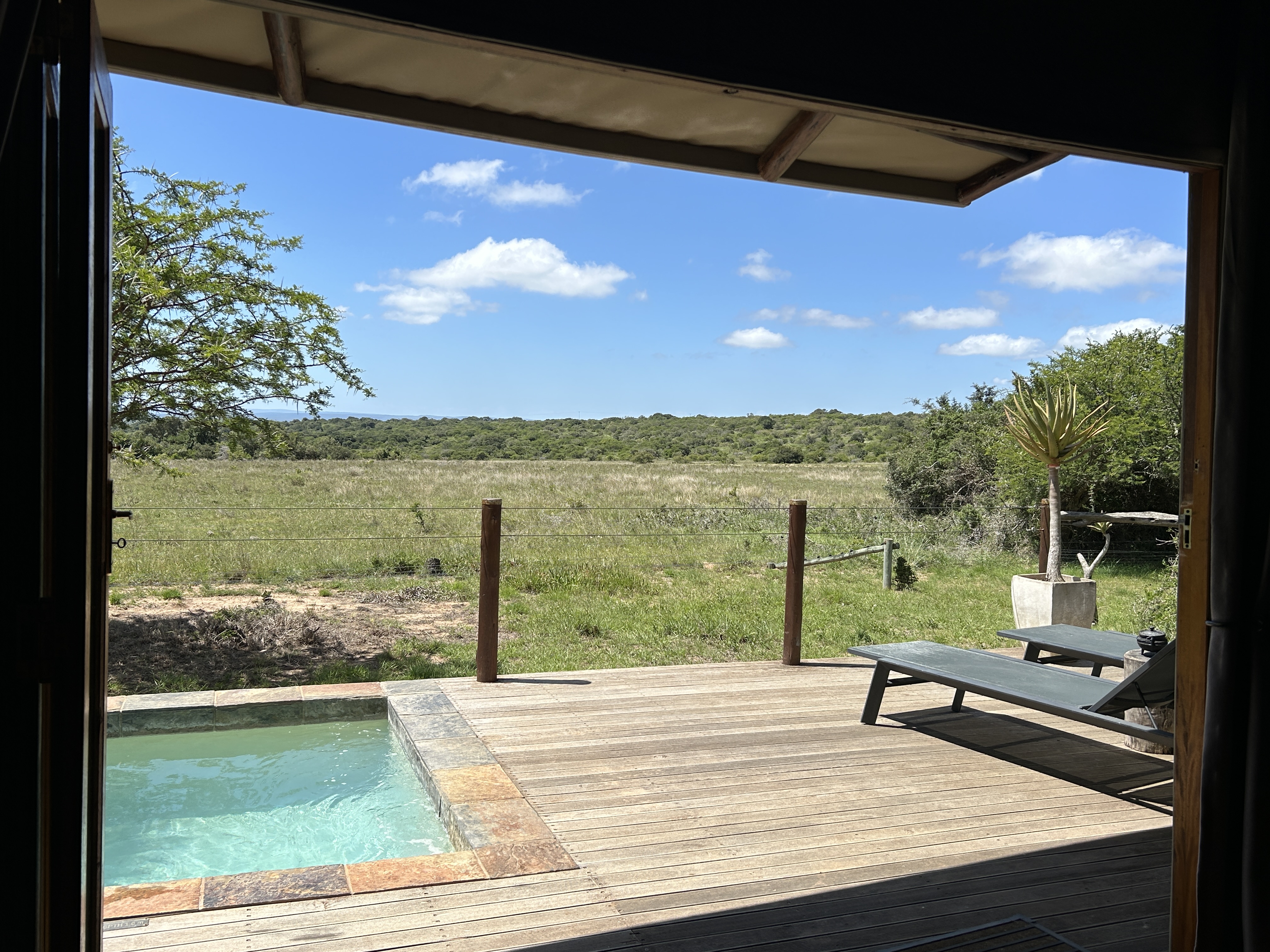 Bush Lodge Amakhala 4