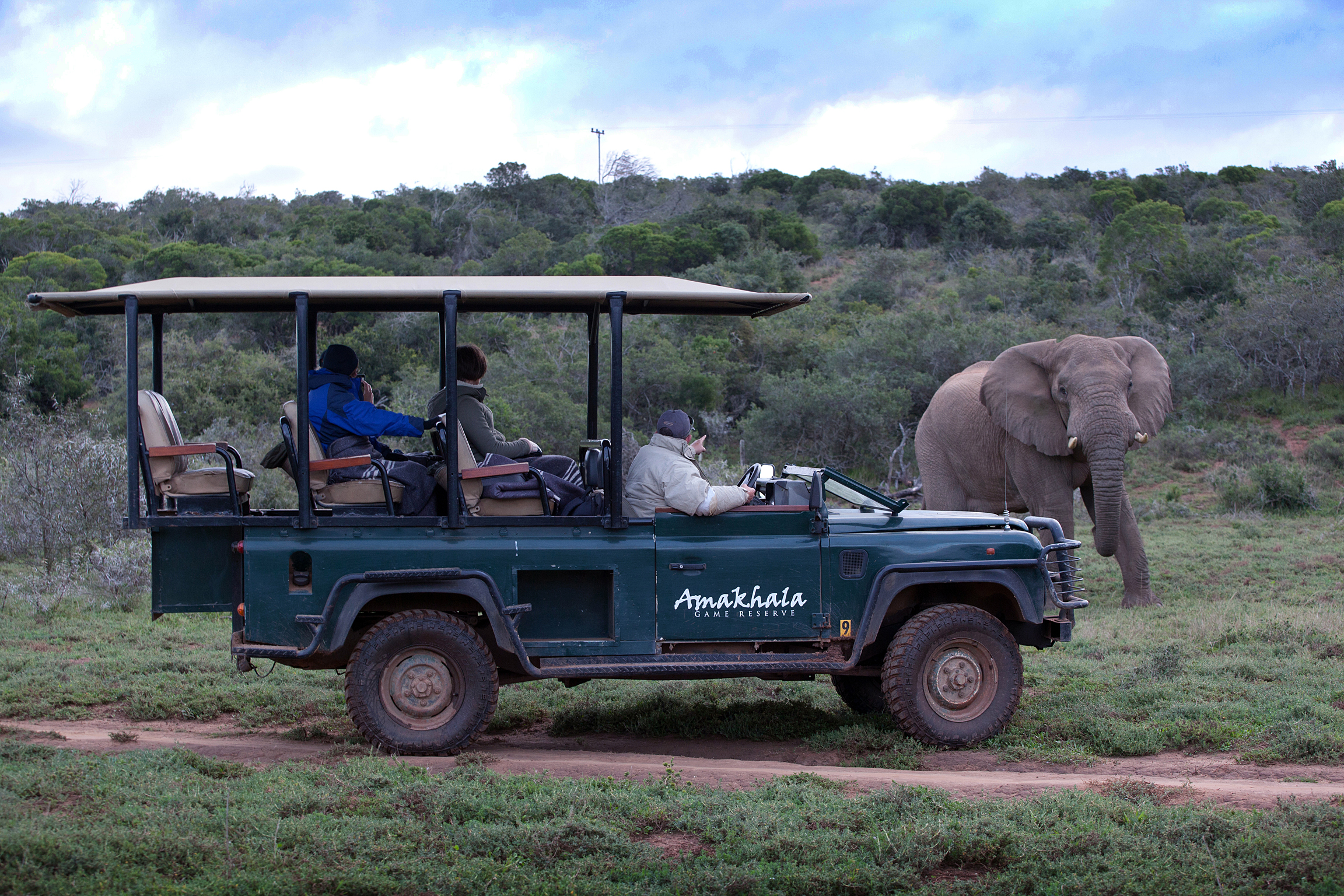 Bush Lodge Amakhala 5
