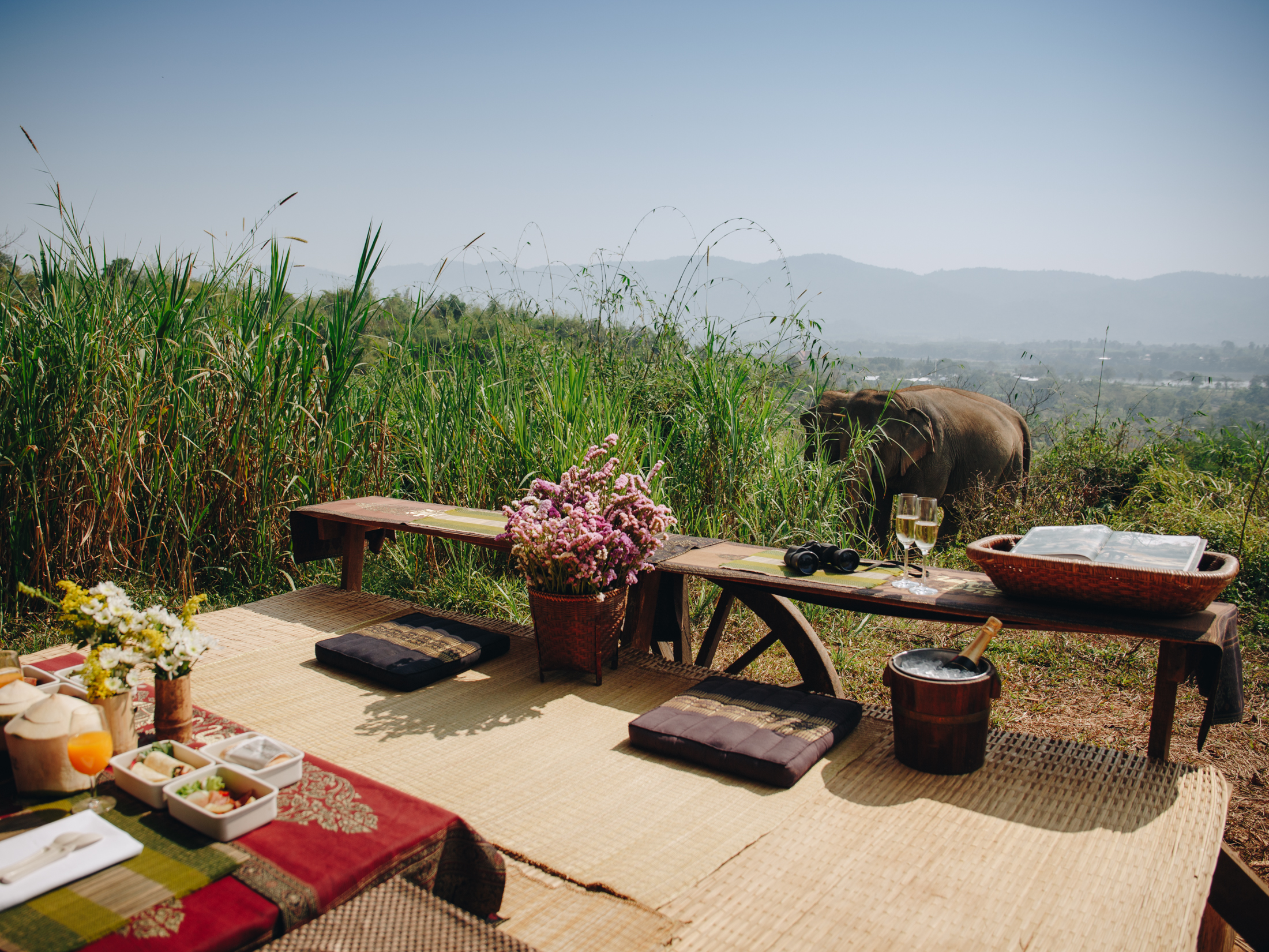 Anantara Golden Triangle Elephant Camp & Resort อนันตรา สามเหลี่ยมทองคำ แคมป์ช้าง แอนด์ รีสอร์ท 7