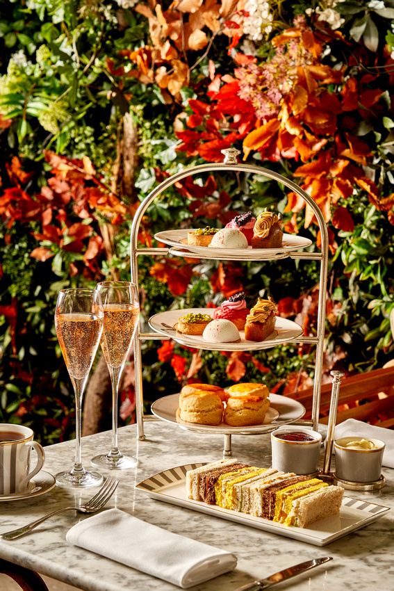 The Bloomsbury Hotel 7