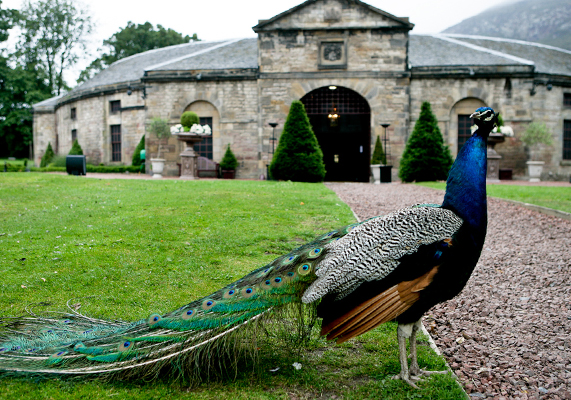 Prestonfield House 8
