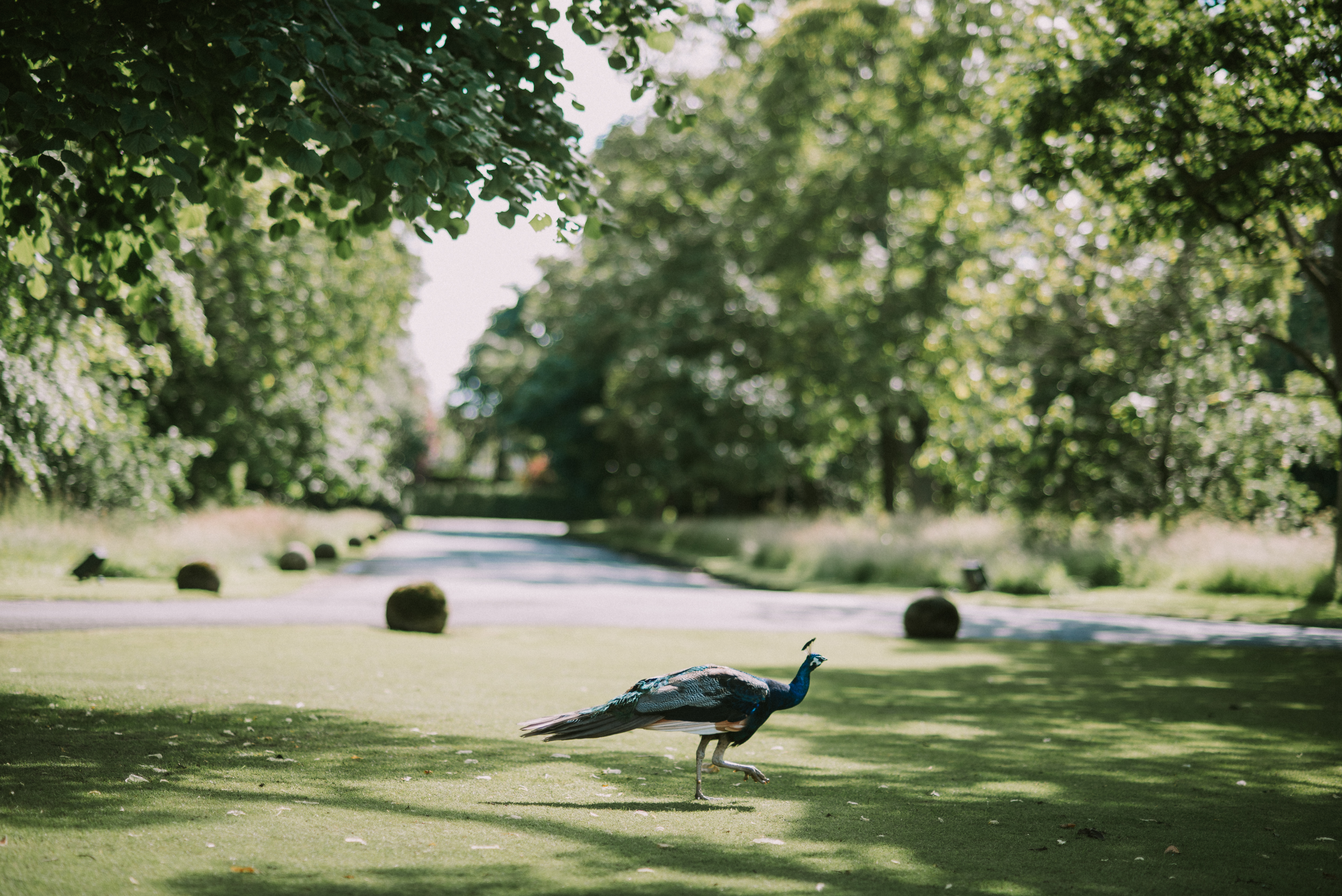Prestonfield House 9