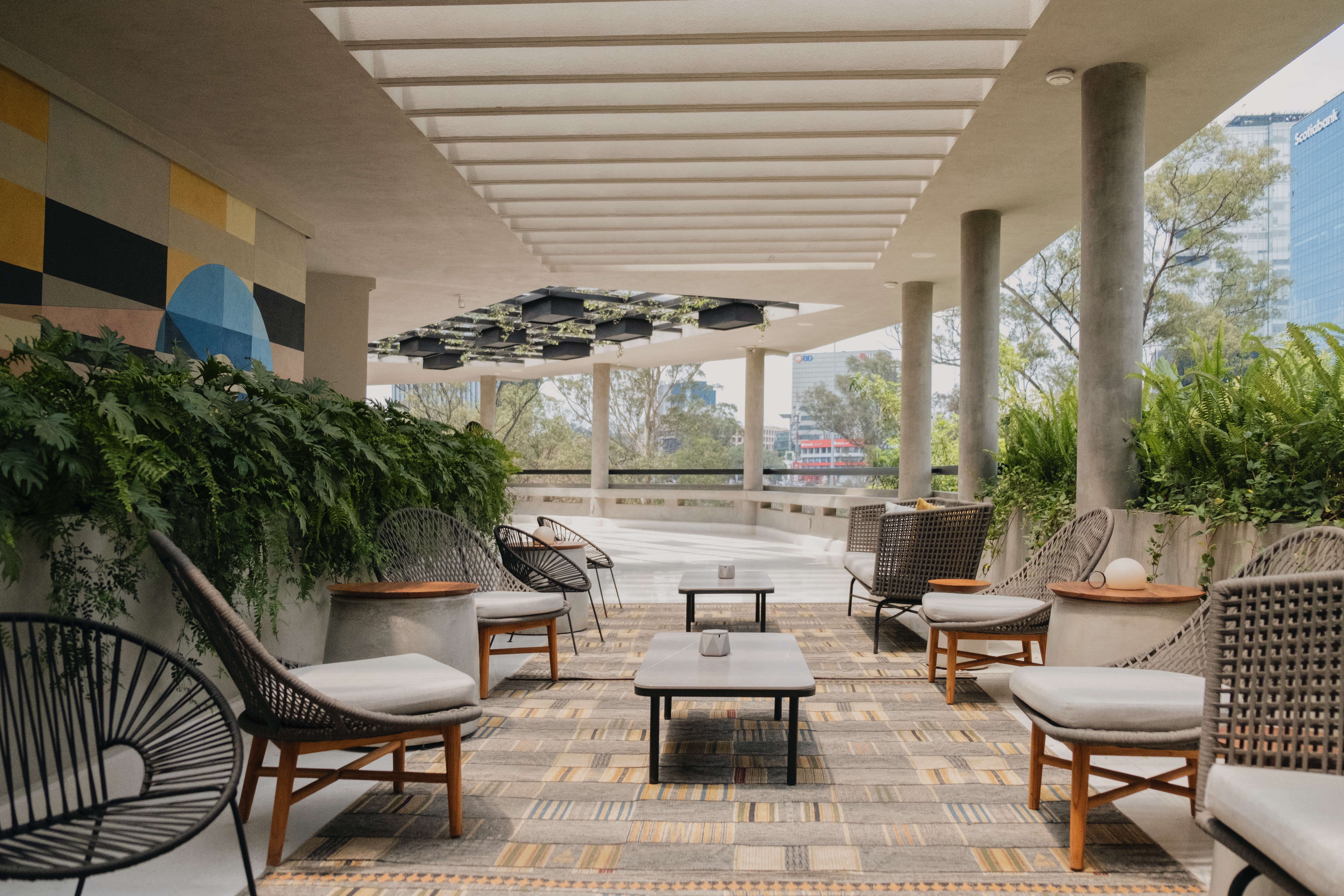 Campos Polanco 6