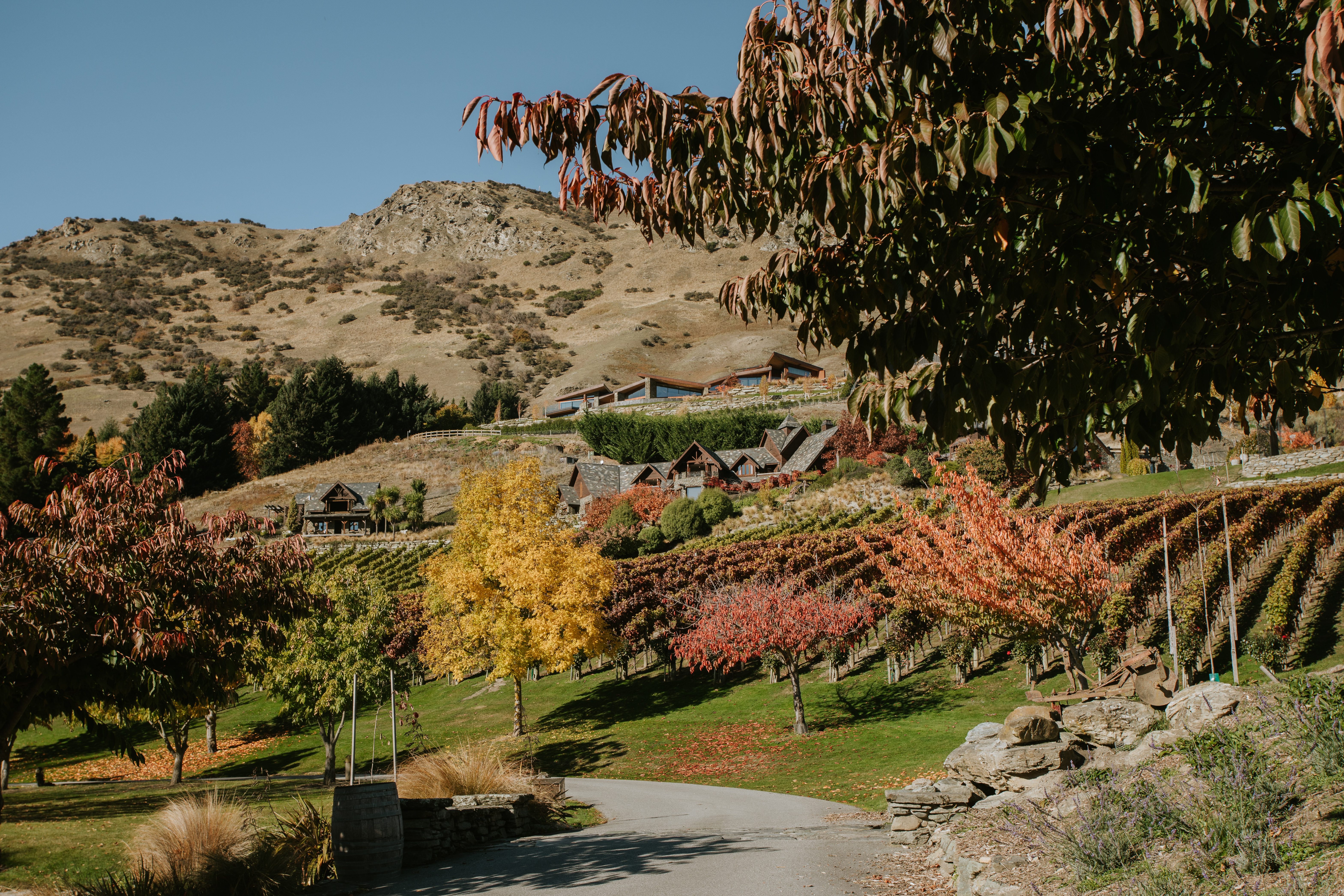 Stoneridge Estate Queenstown 6