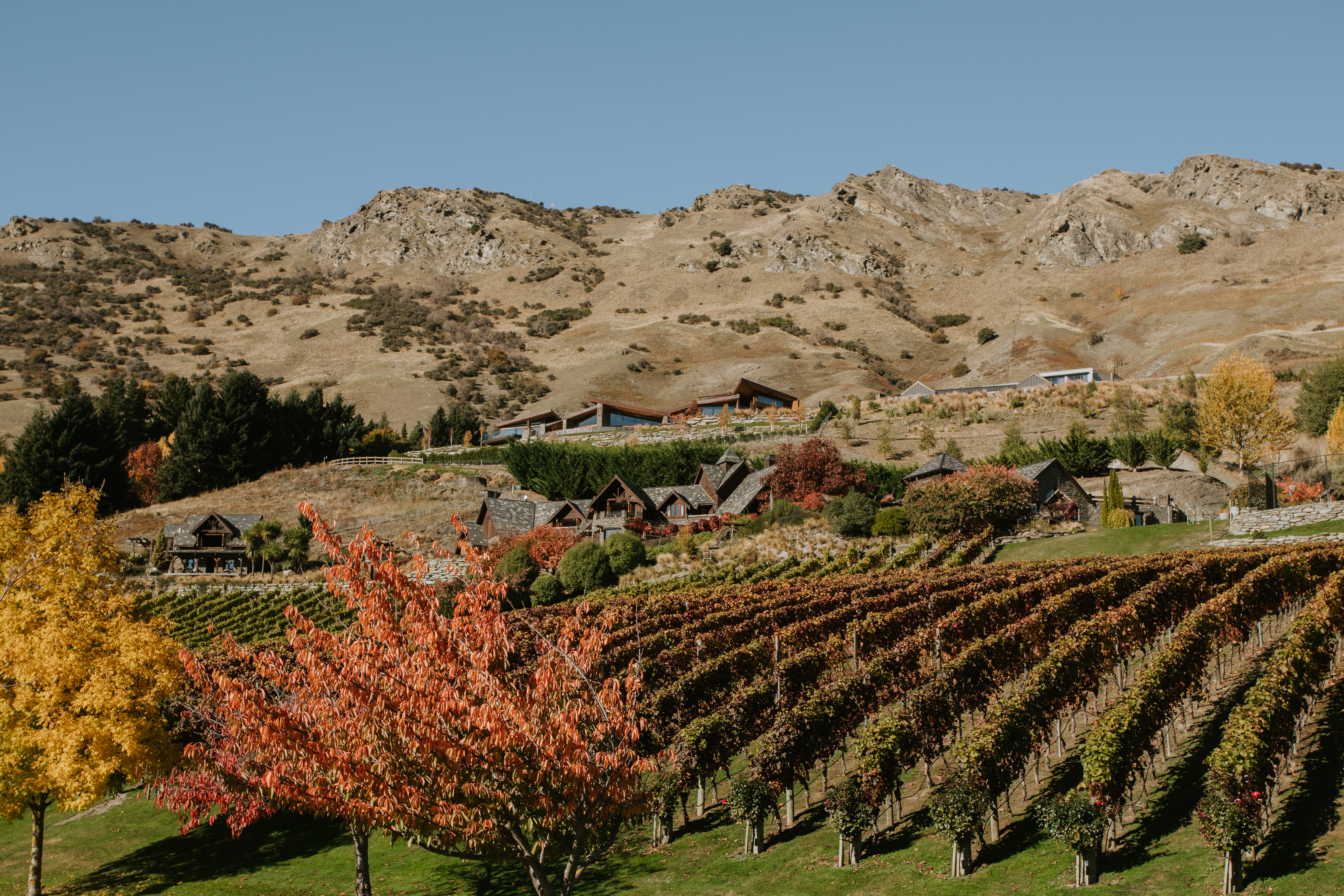 Stoneridge Estate Queenstown 8