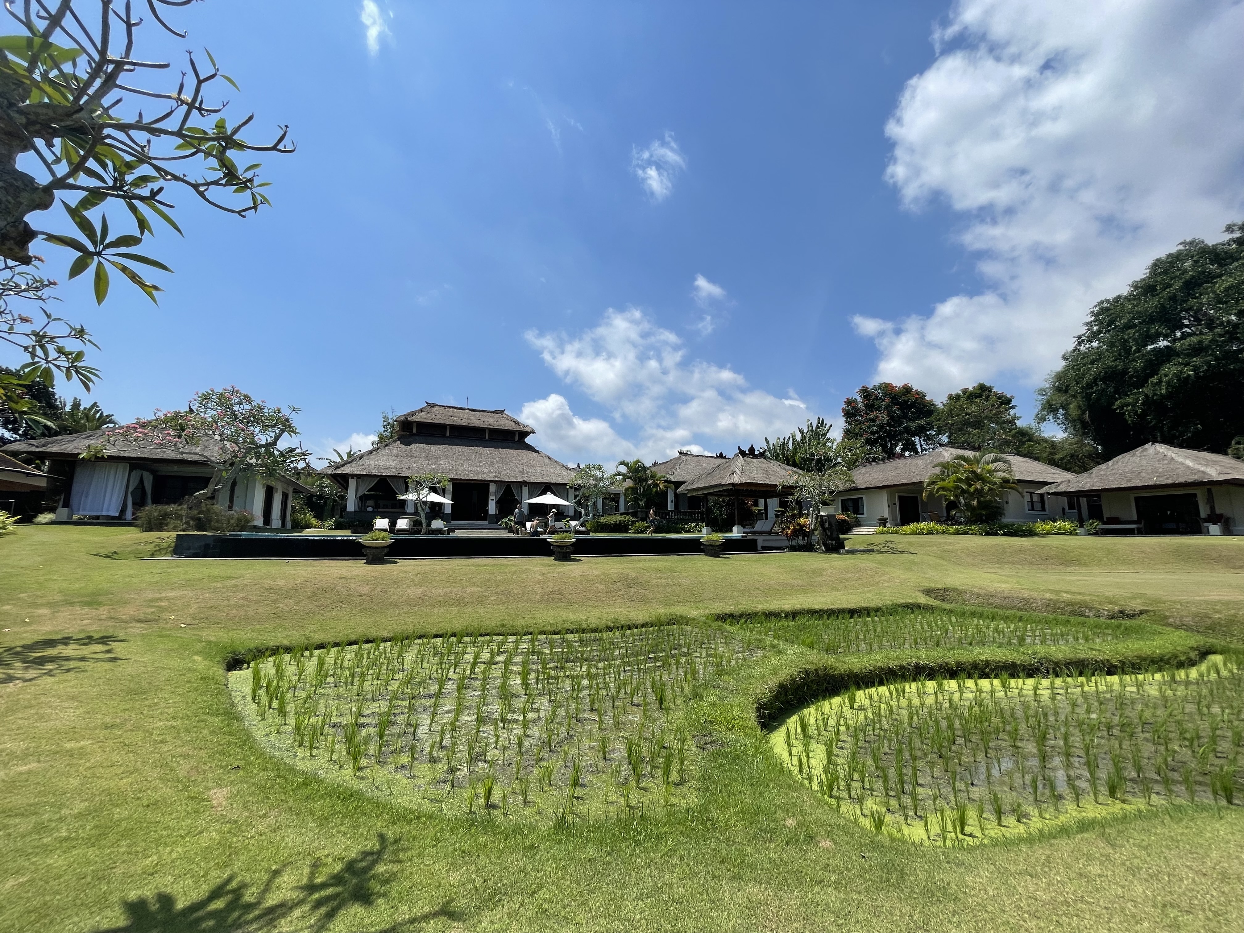 The Lotus Residence 9