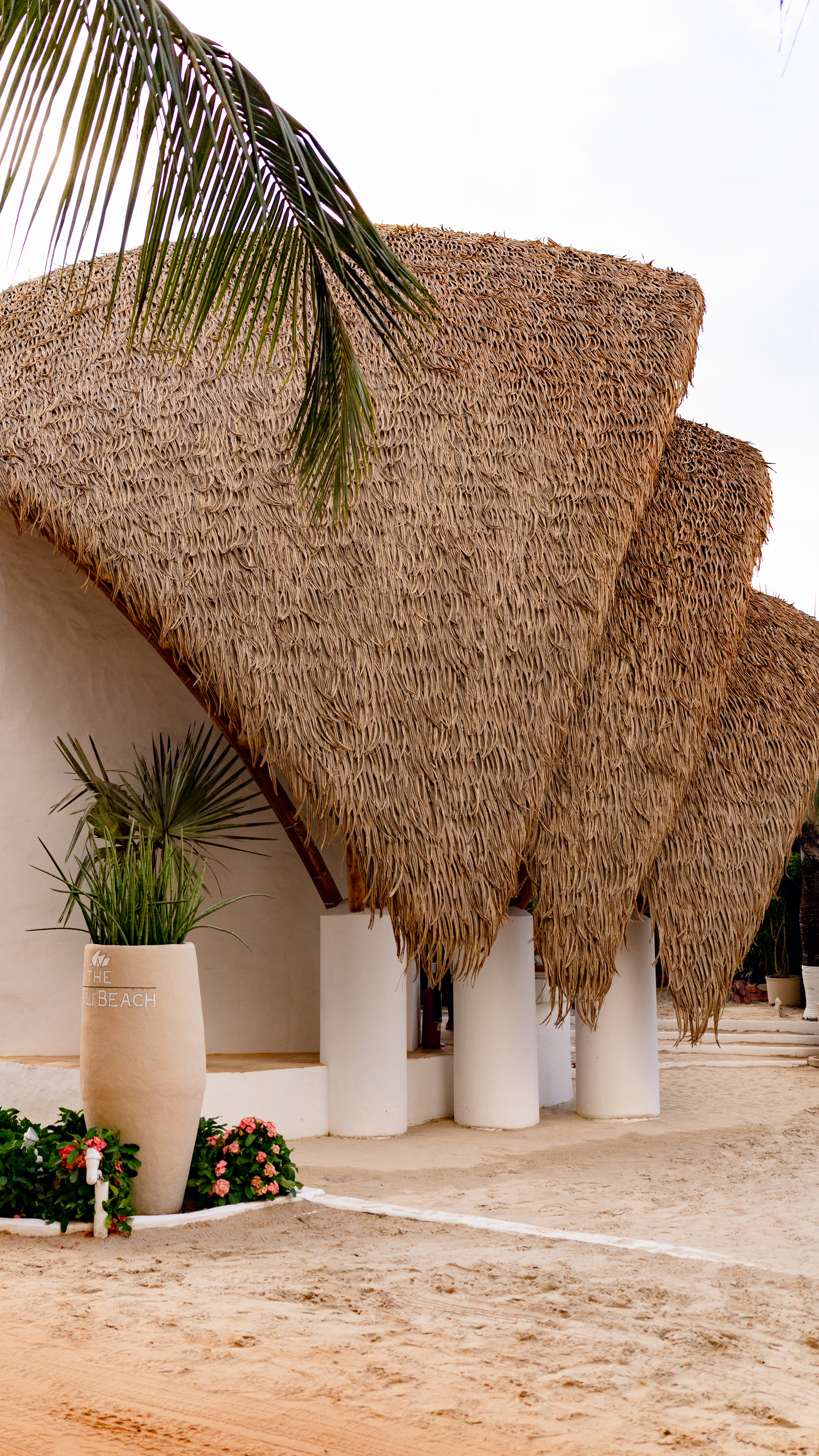 The Chili Beach 8