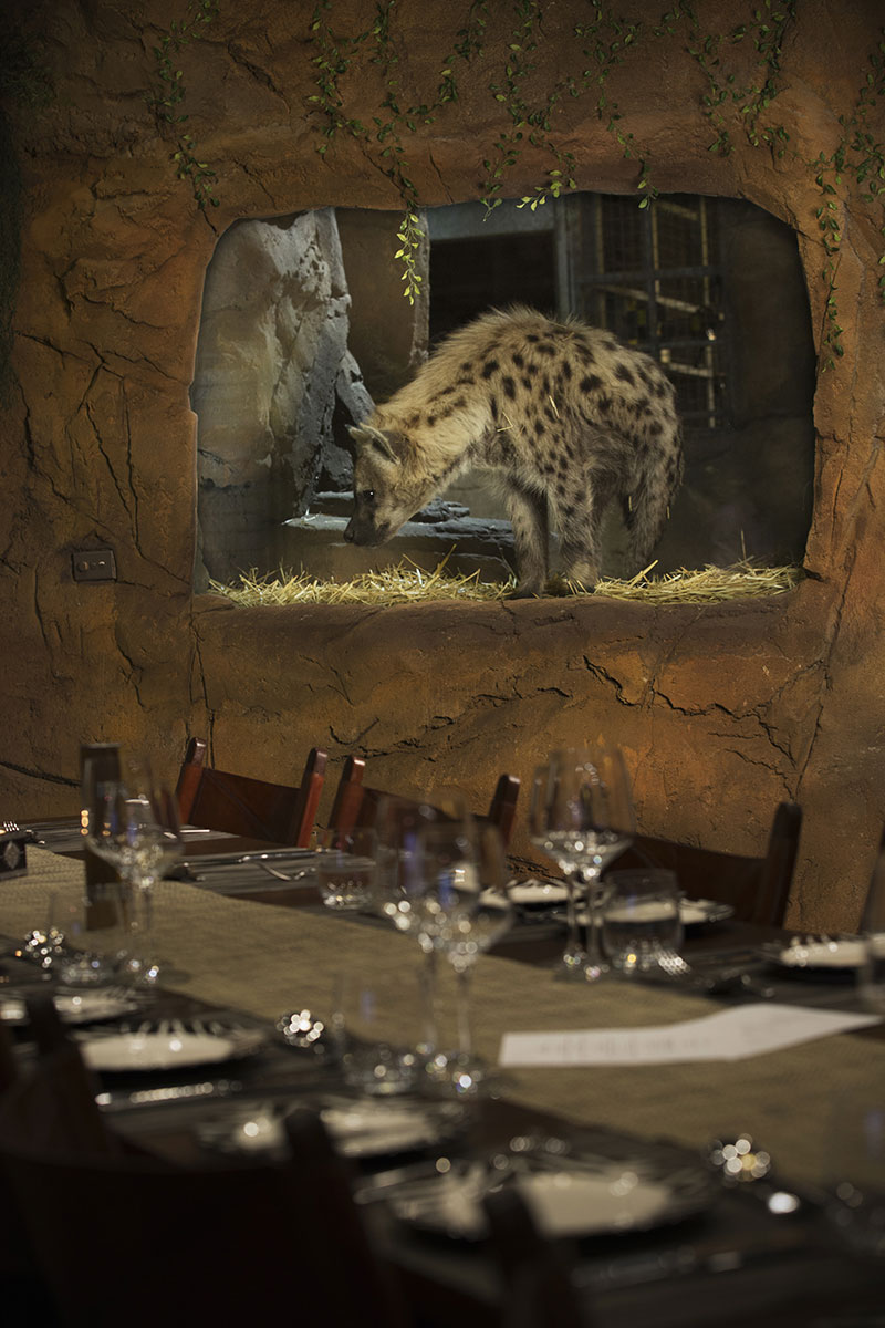 Jamala Wildlife Lodge 9