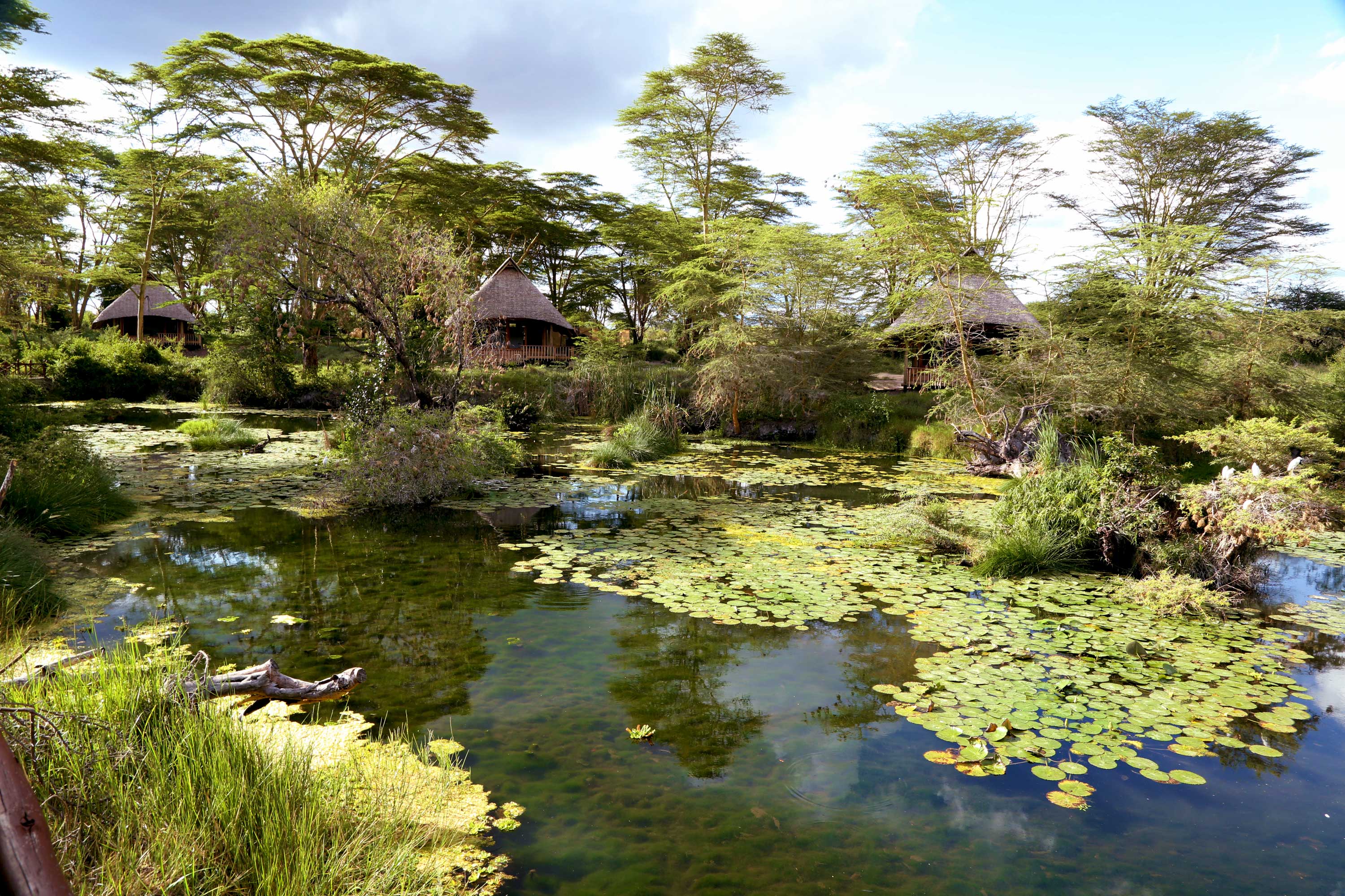 Finch Hattons Luxury Camp 7