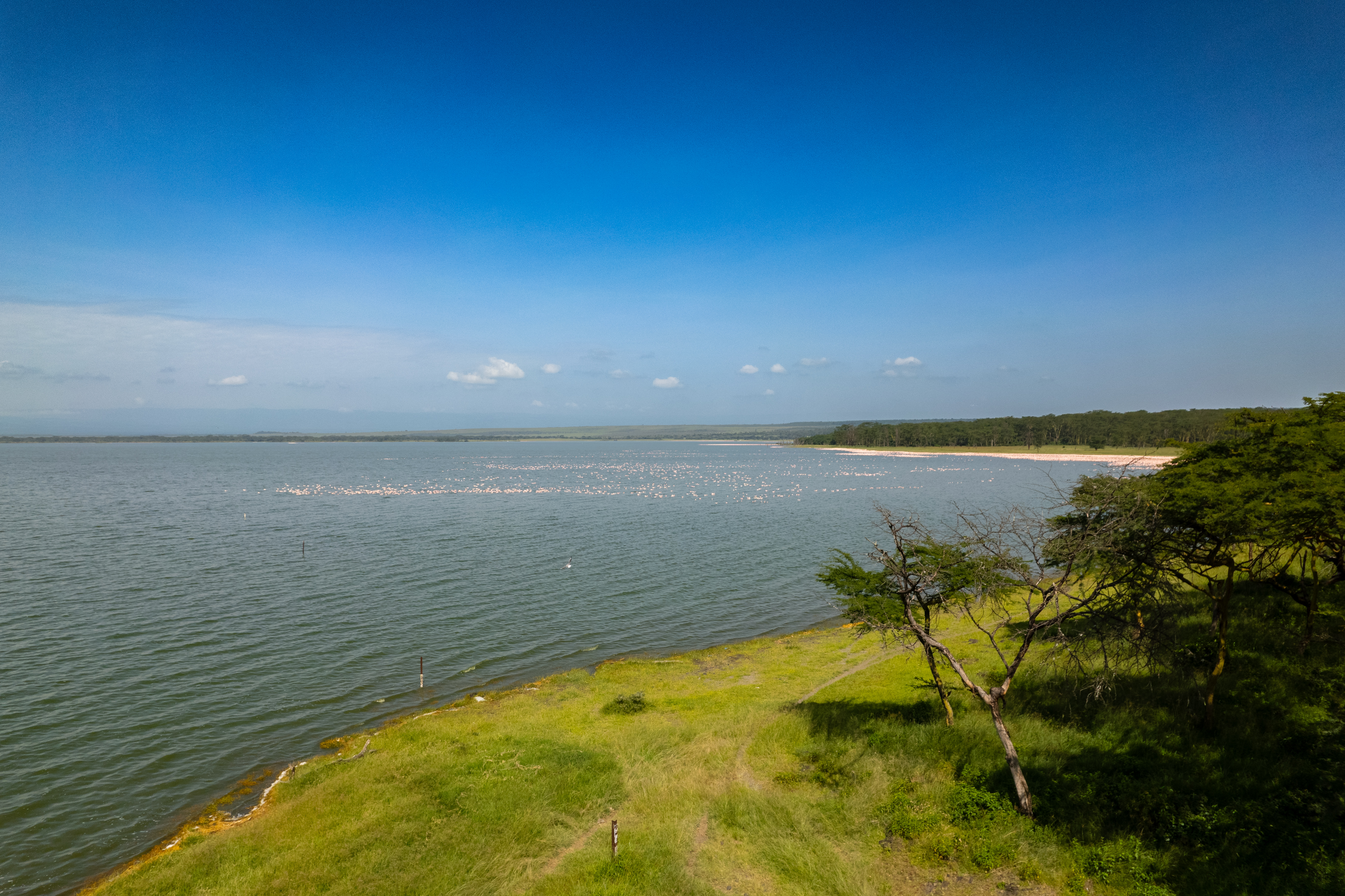 Lake Elmenteita Serena Camp 7