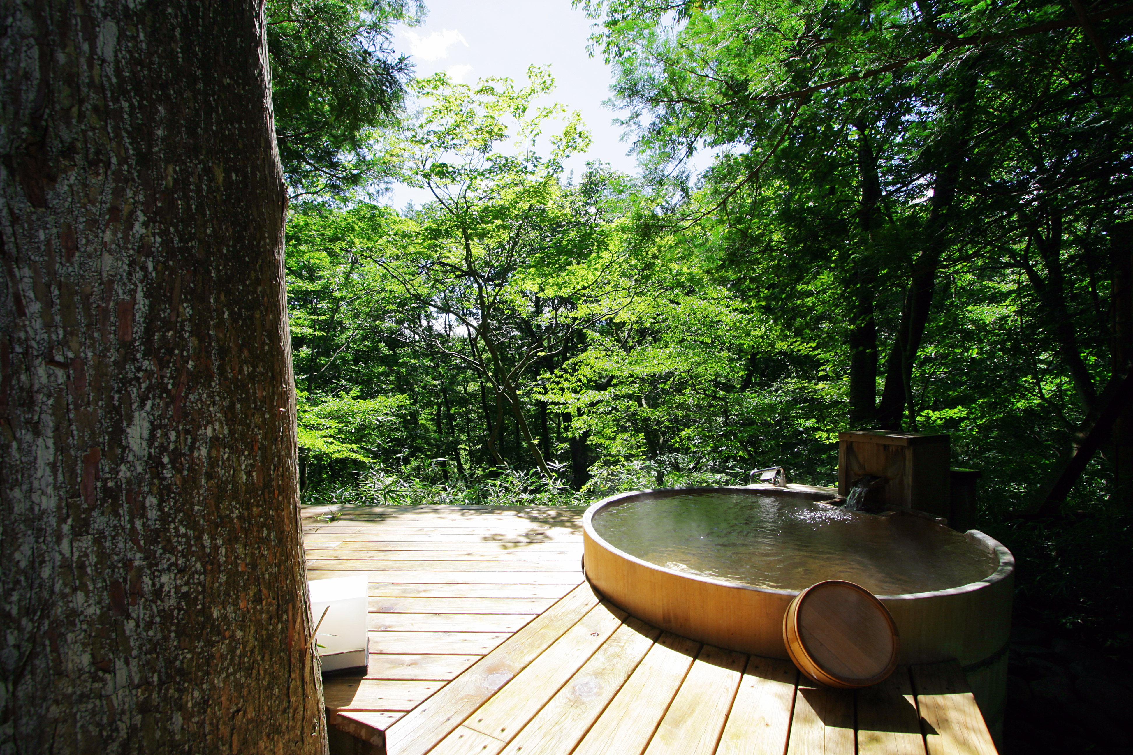Daikon no Hana Onsen 6