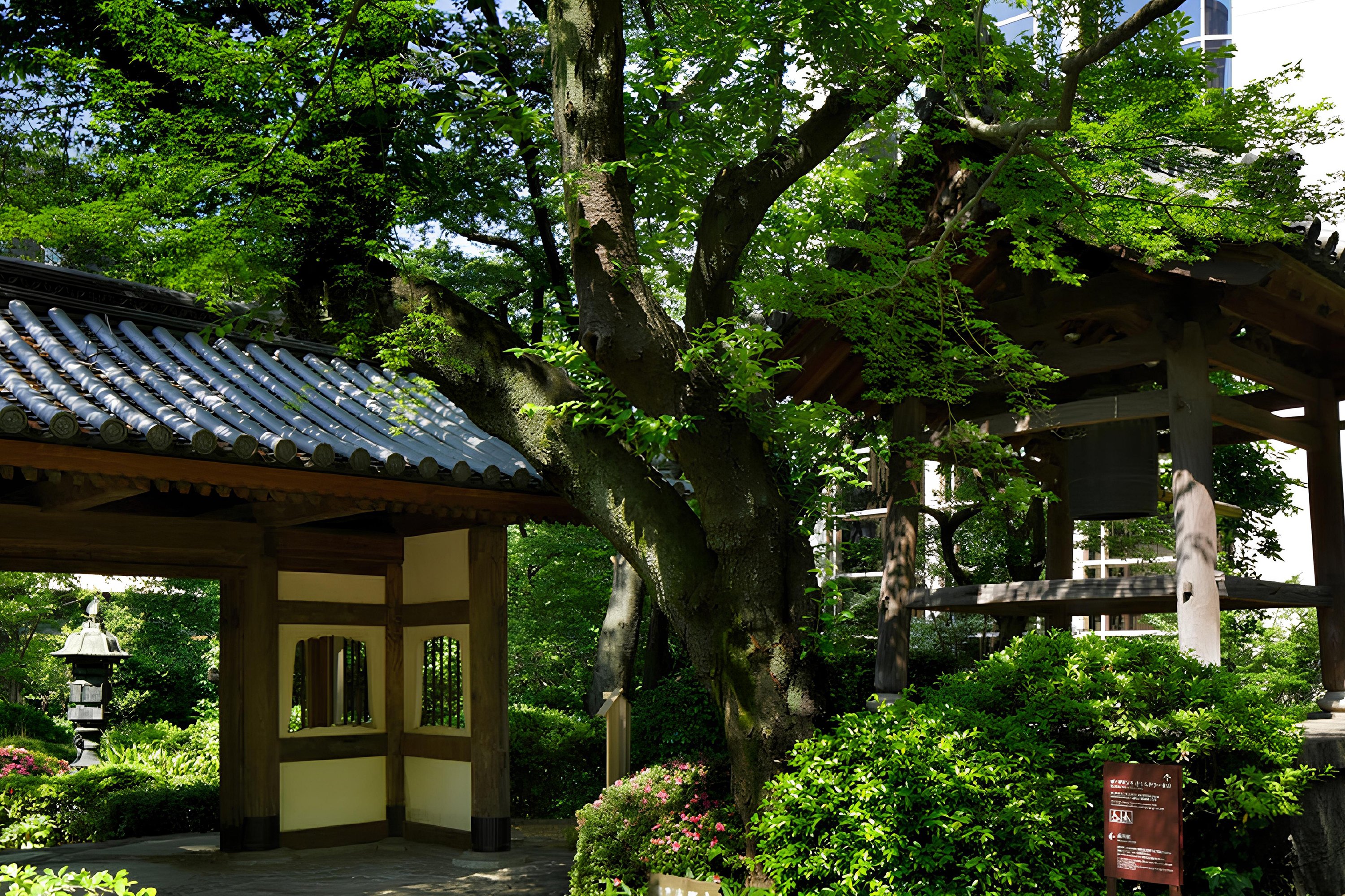 Hanakohro 7