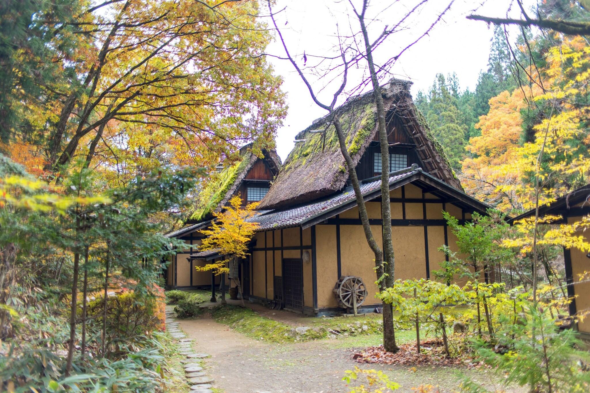Wanosato 6