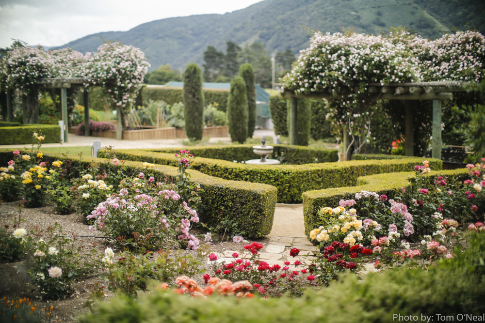 Bernardus Lodge & Spa 5