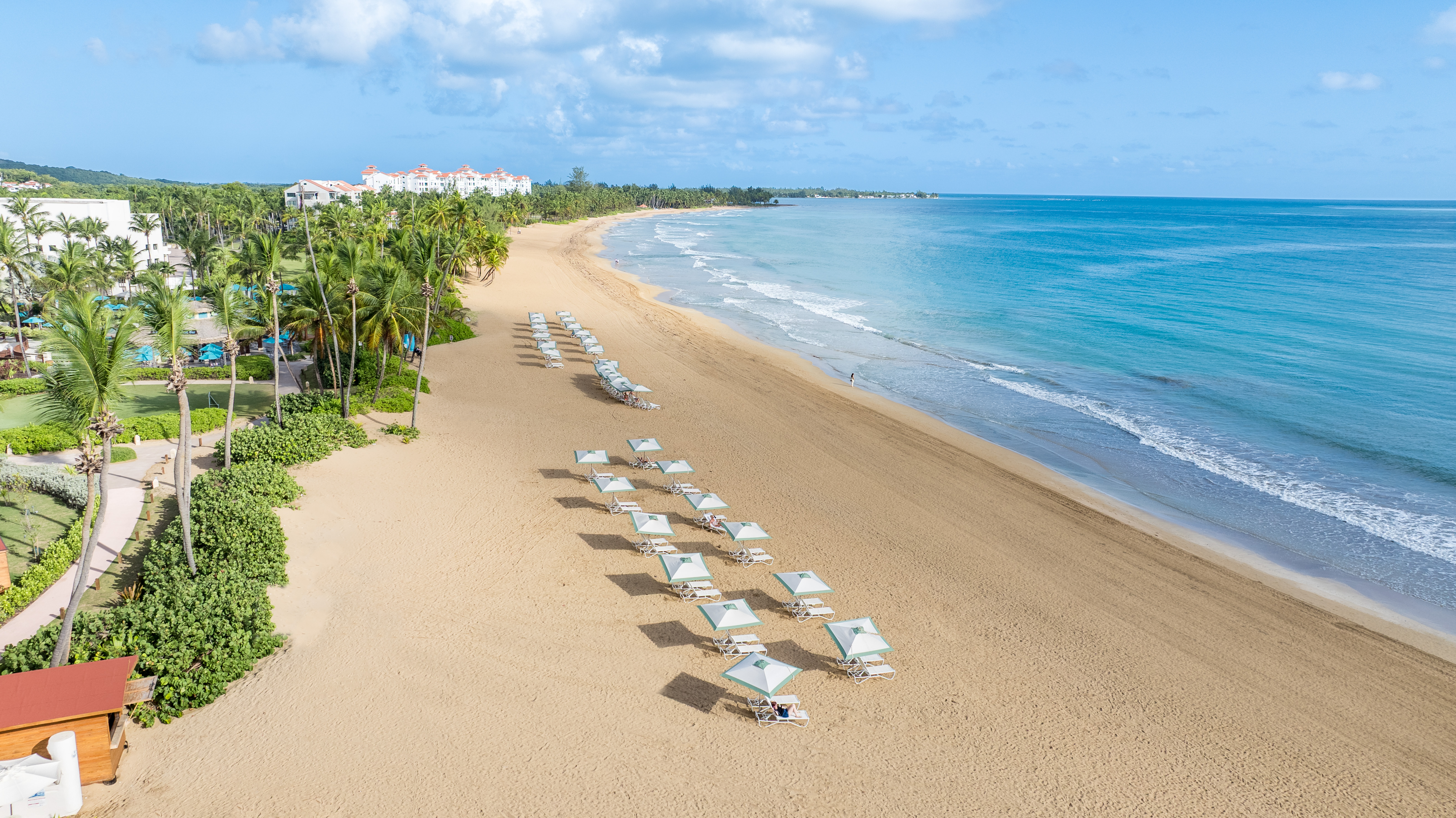 Wyndham Grand Rio Mar Puerto Rico Golf & Beach Resort 8