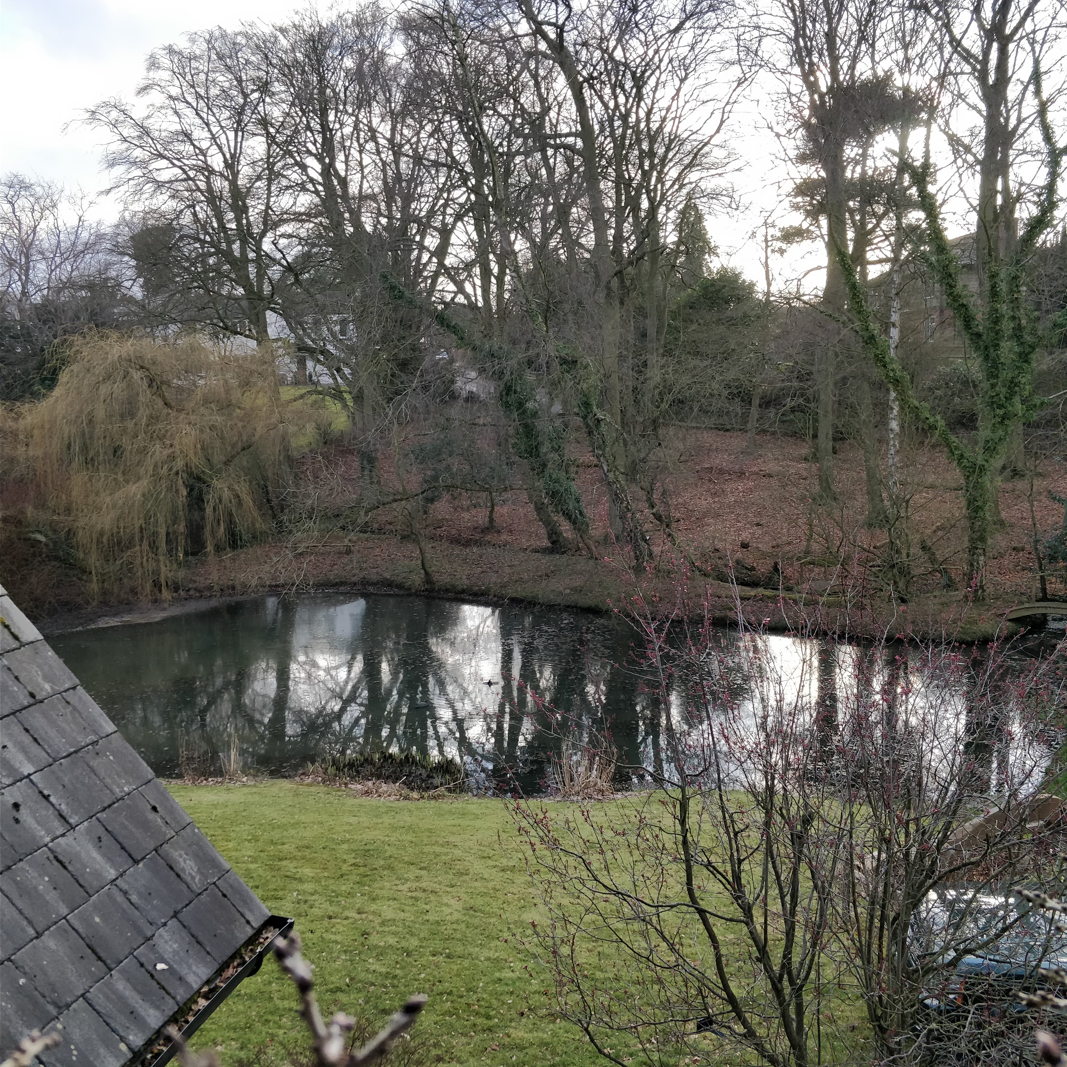 Willowbeck Lodge 6