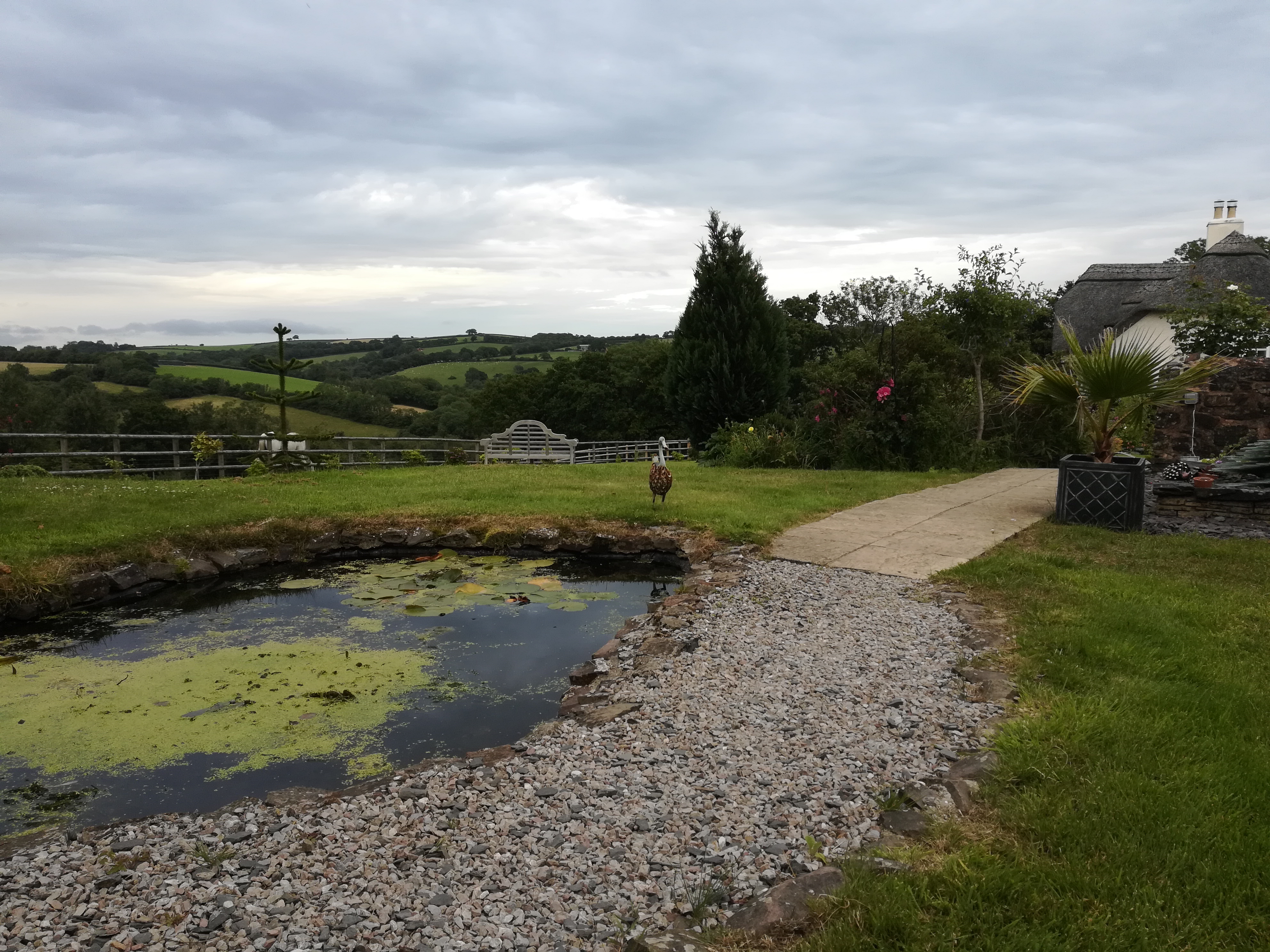 Fernside 5