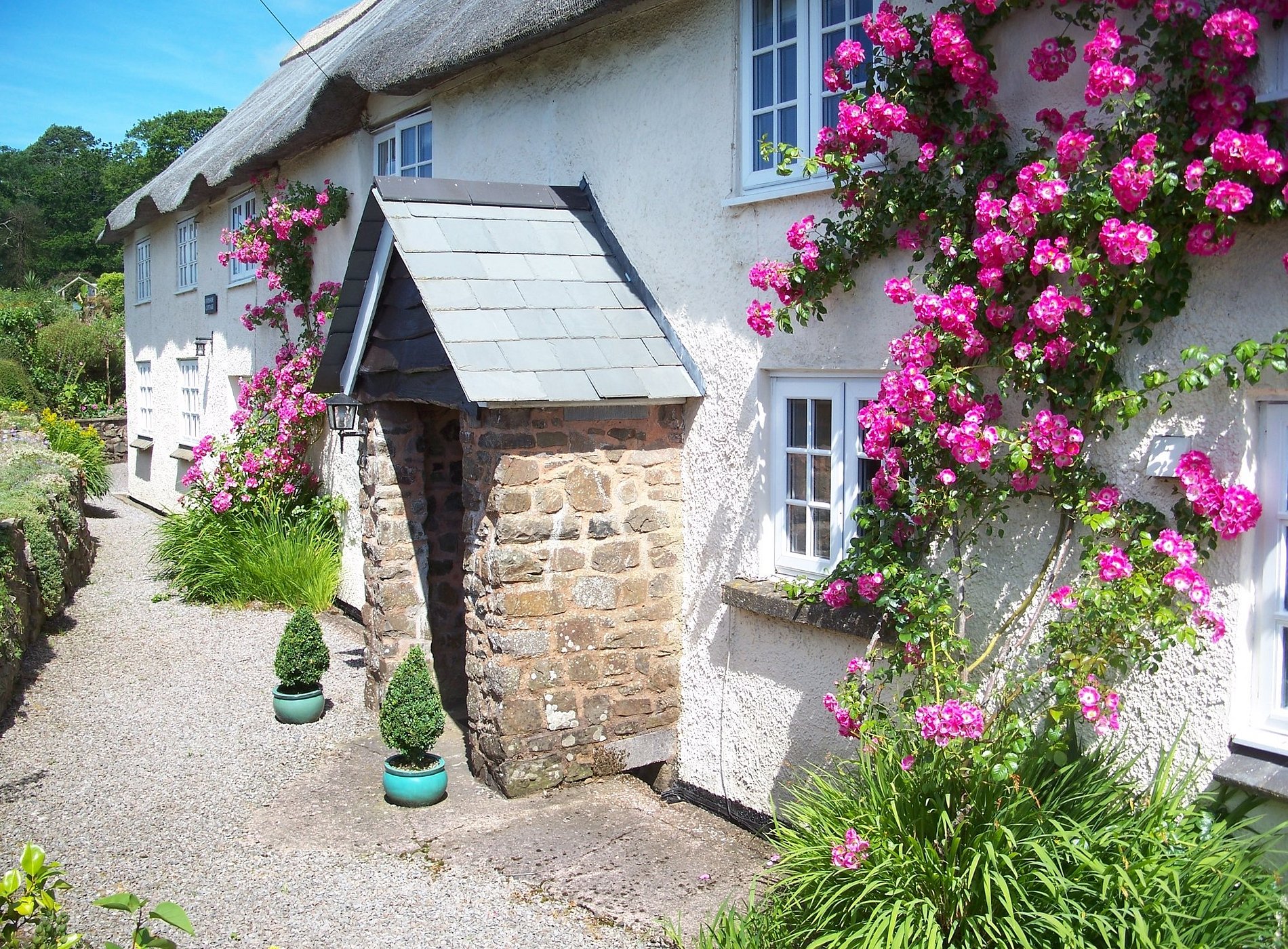 Fernside 8