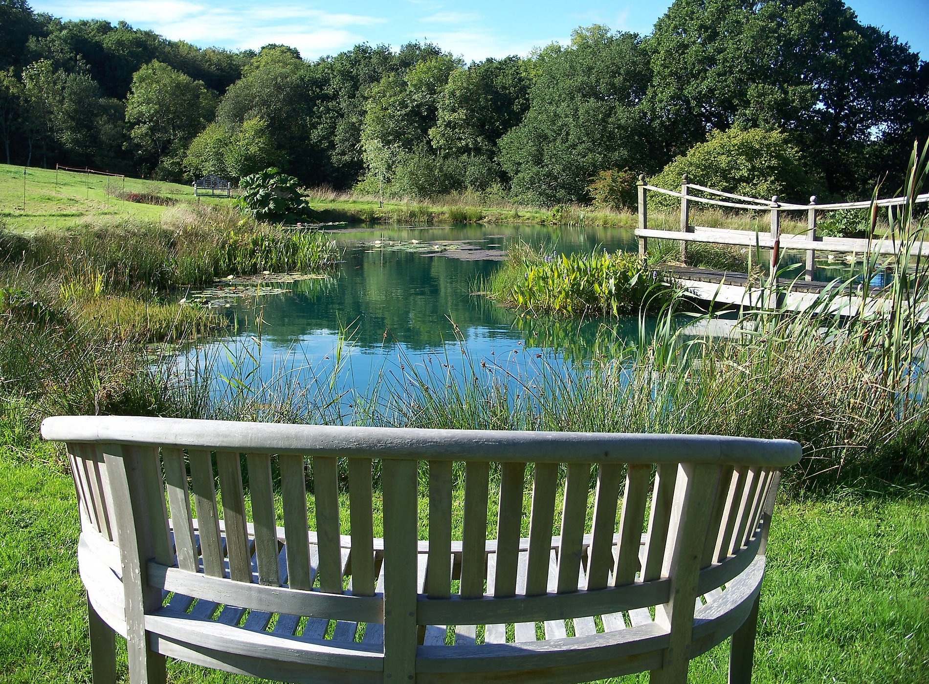Fernside 9