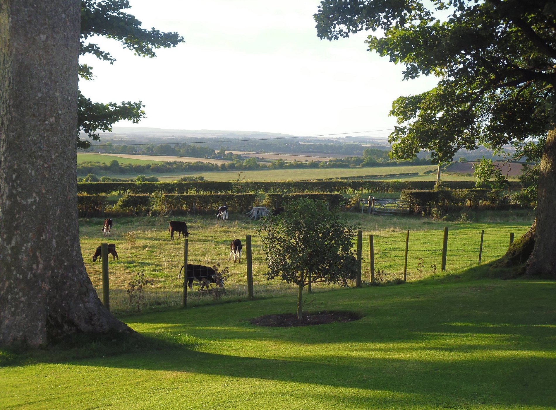 West Longridge Manor and Garden House 2