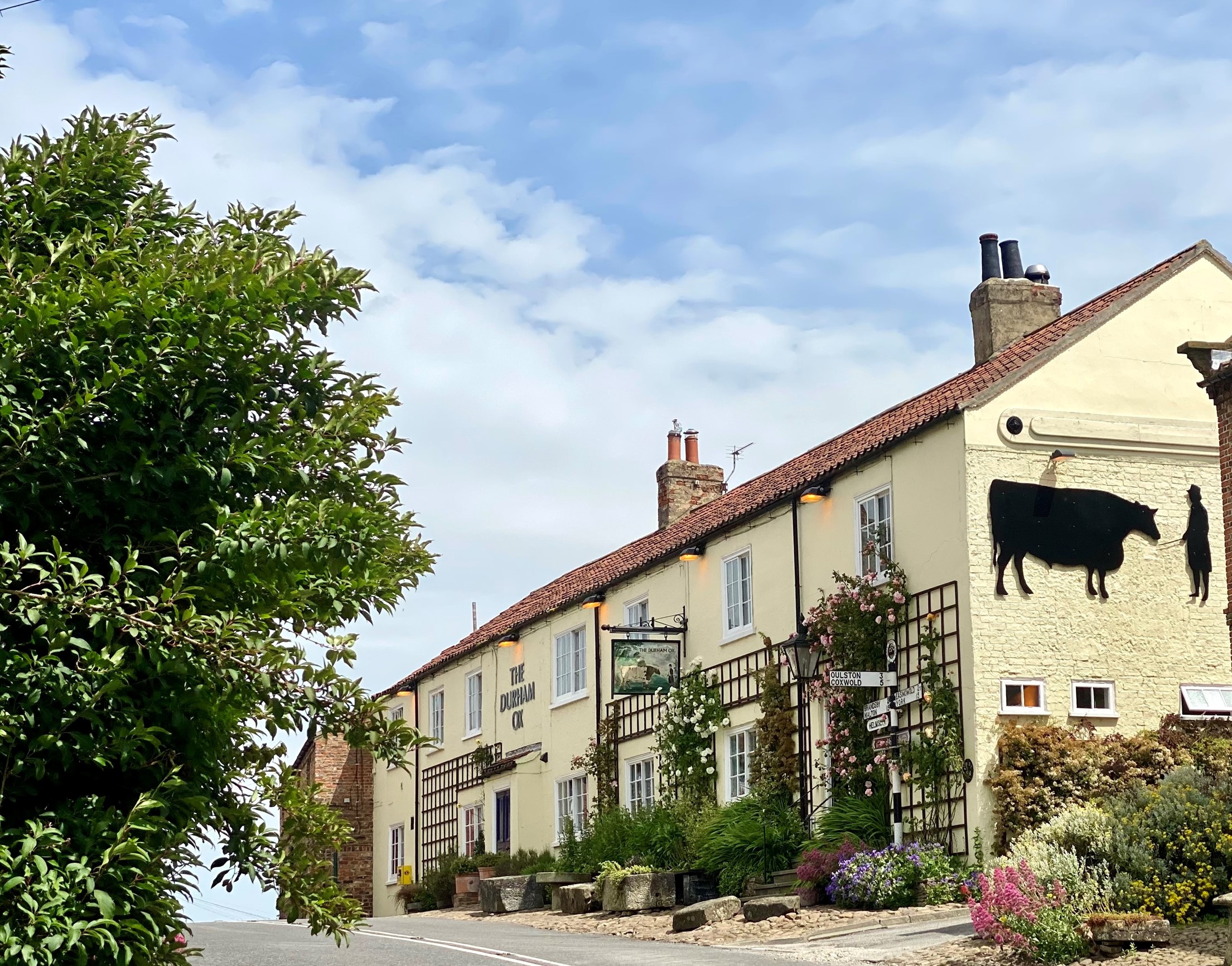 The Durham Ox 4